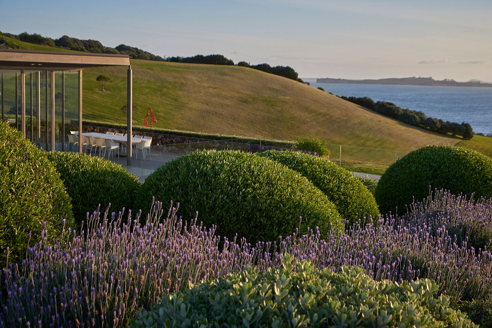 Island Retreat, Waiheke Island. Landscape design by Suzanne Turley Landscapes