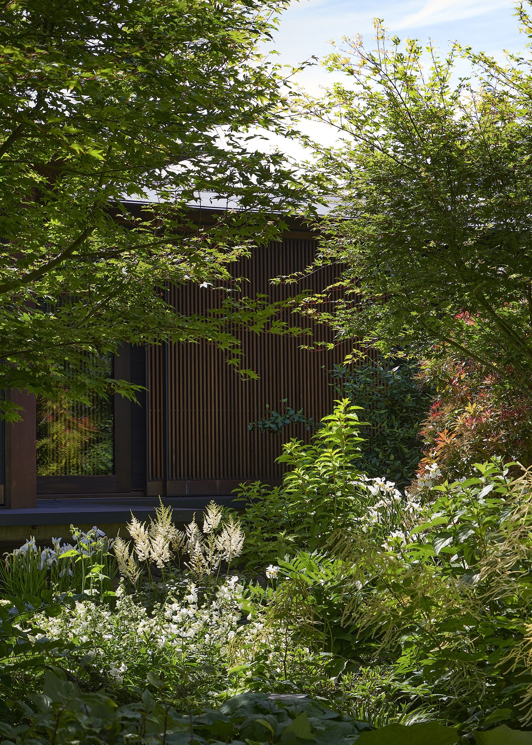 Riverside House, Christchurch. Landscape design by Suzanne Turley Landscapes