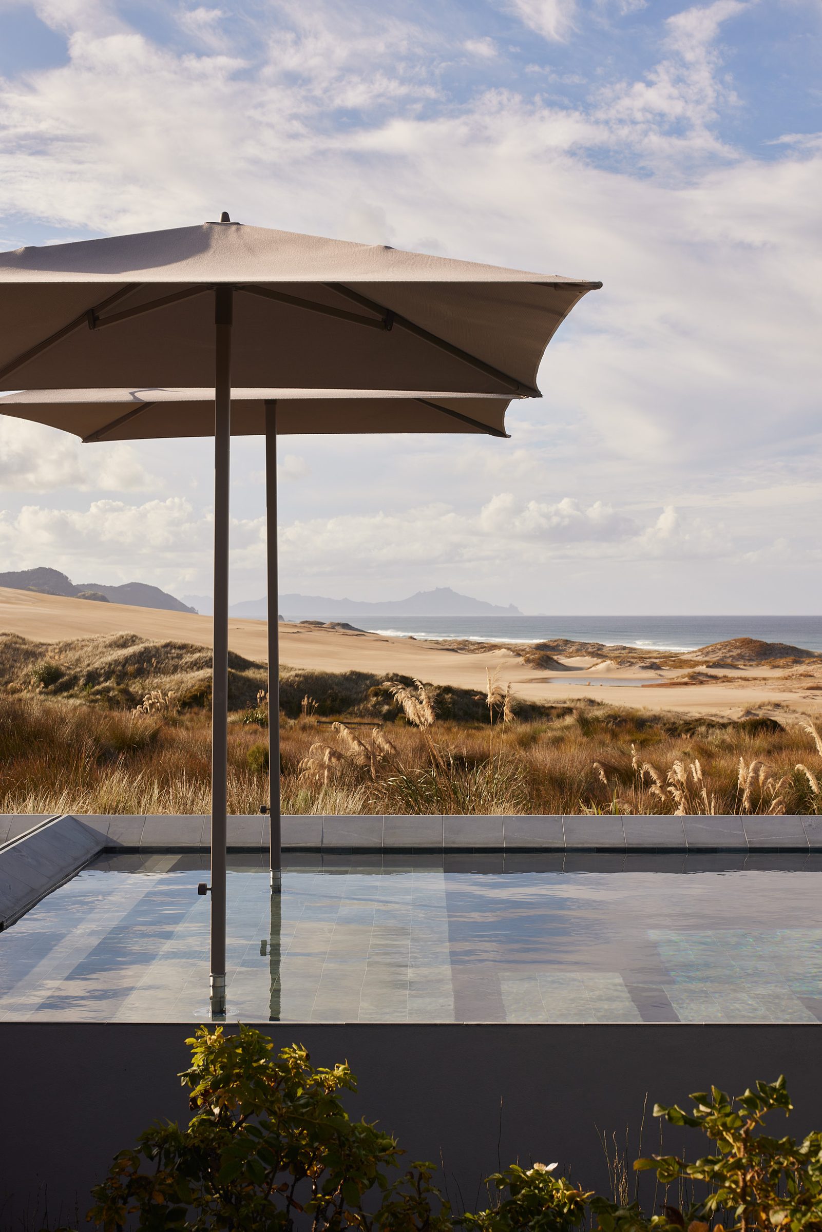 Coastal Home, Tara Iti. Landscape design by Suzanne Turley Landscapes