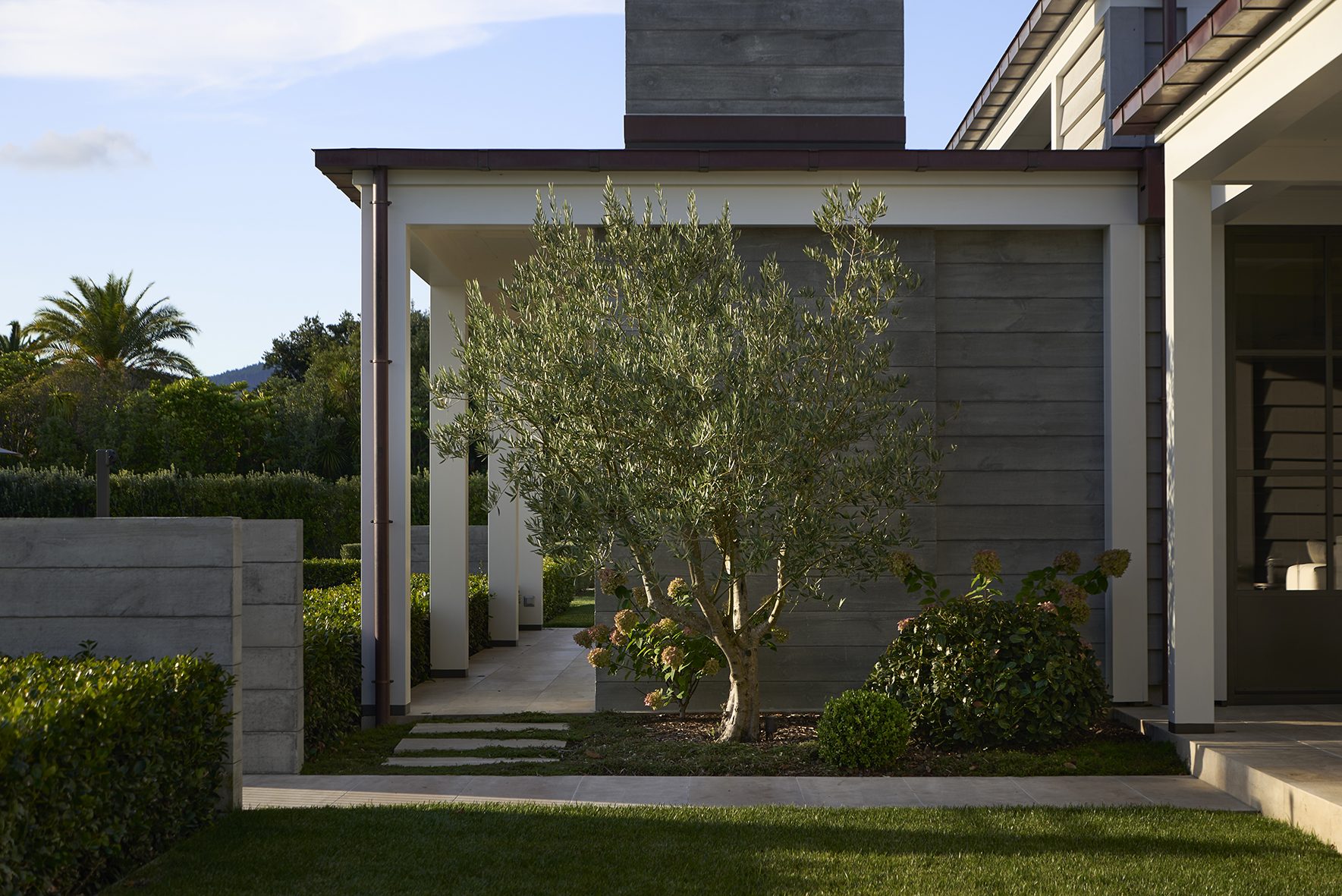 Beachside Retreat, Auckland. Landscape design by Suzanne Turley Landscapes