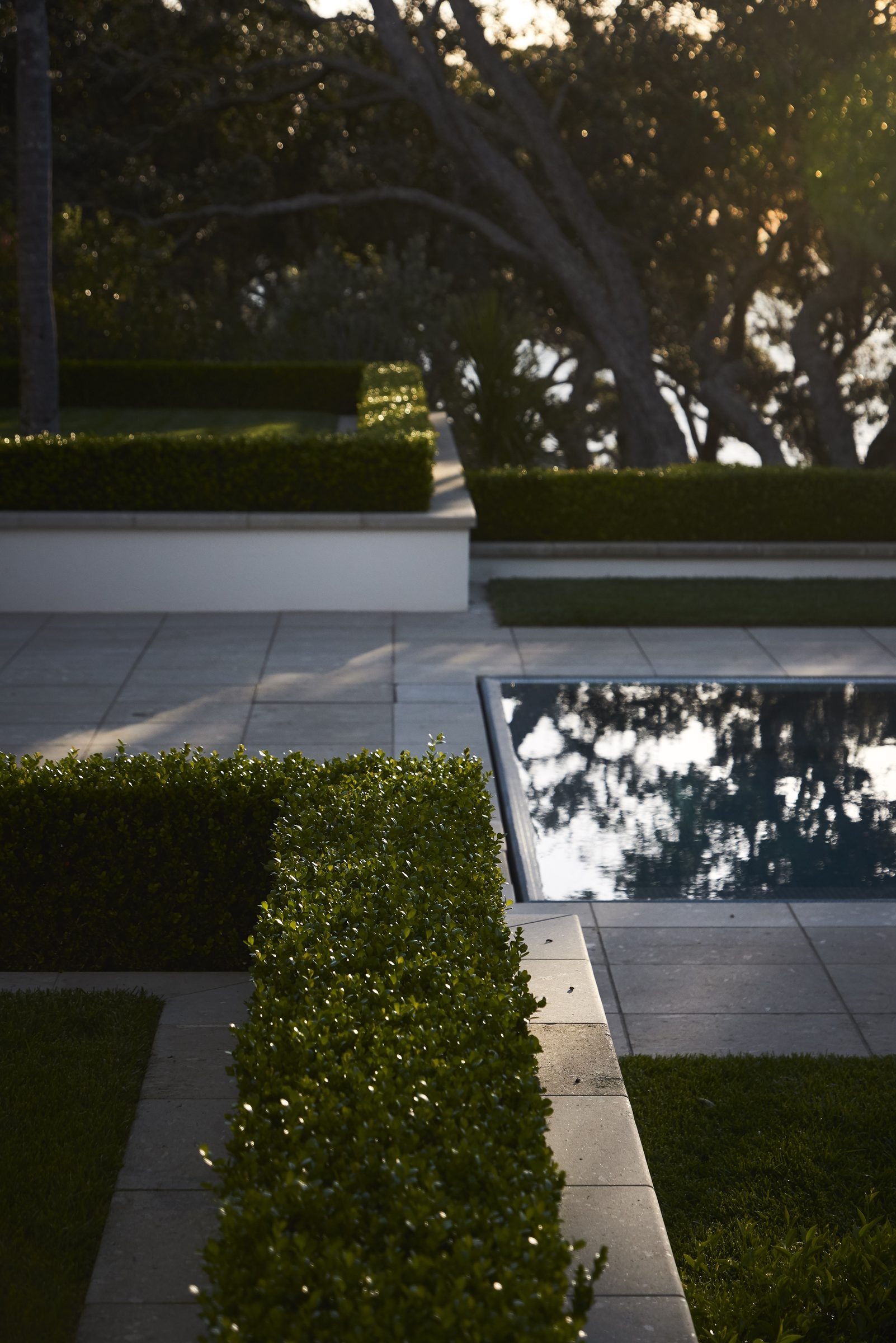 Cremorne, Auckland. Landscape design by Suzanne Turley Landscapes