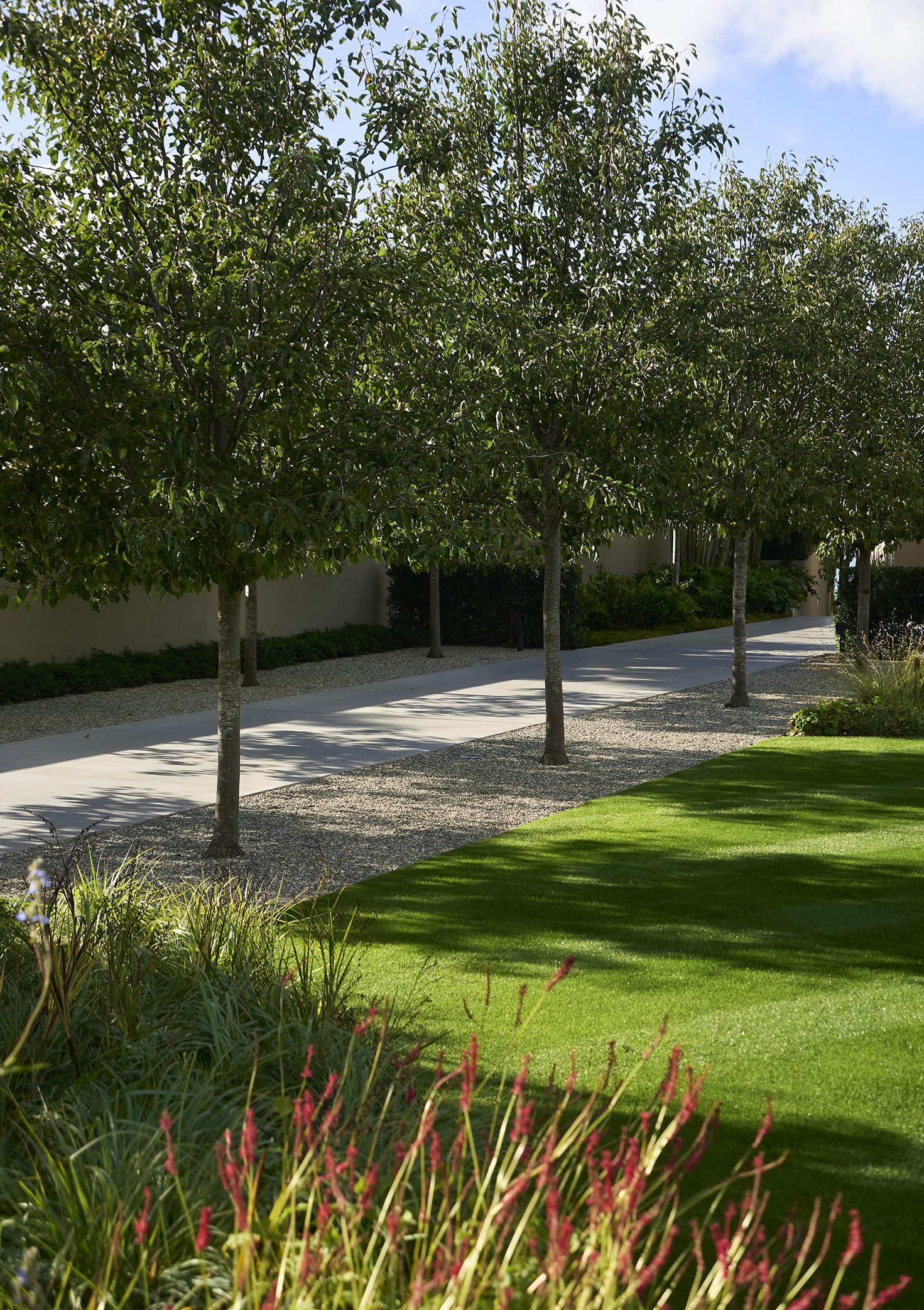 Garden House, Auckland. Landscape design by Suzanne Turley Landscapes