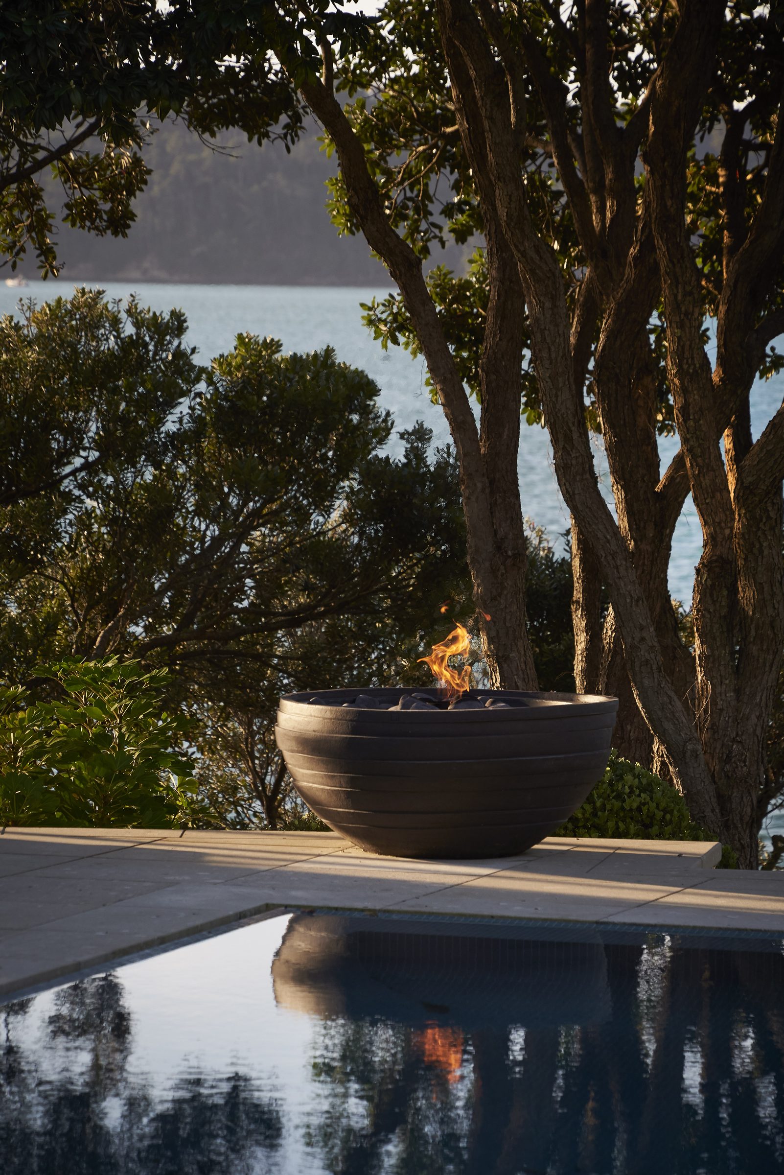 Cremorne, Auckland. Landscape design by Suzanne Turley Landscapes