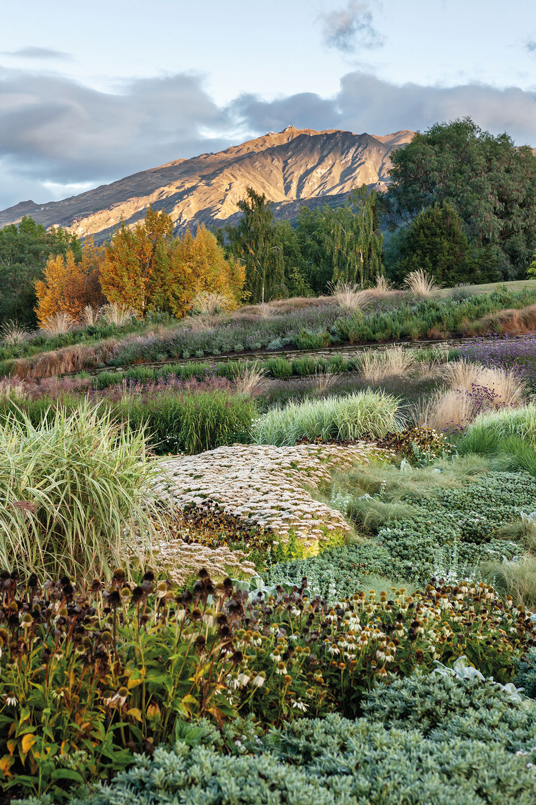 The Hills, Arrowtown. Landscape design by Suzanne Turley Landscapes