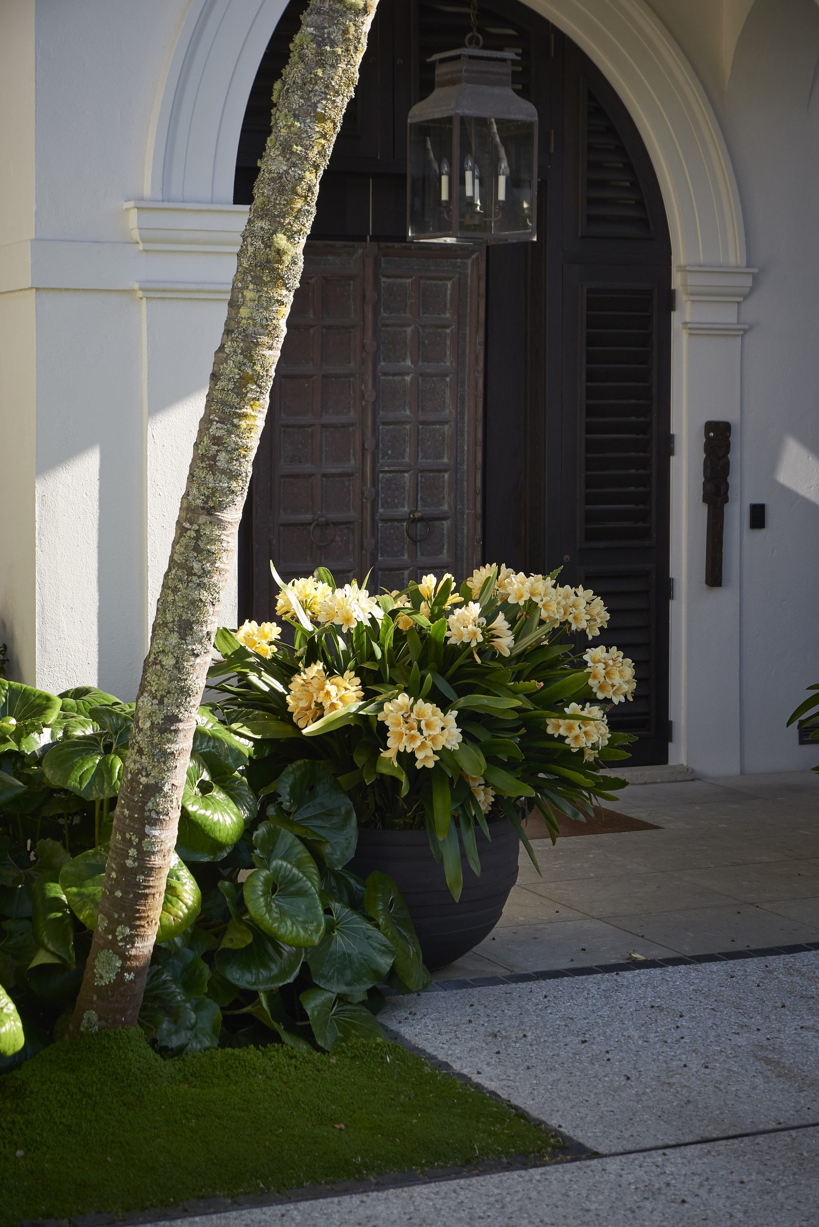 Cremorne, Auckland. Landscape design by Suzanne Turley Landscapes