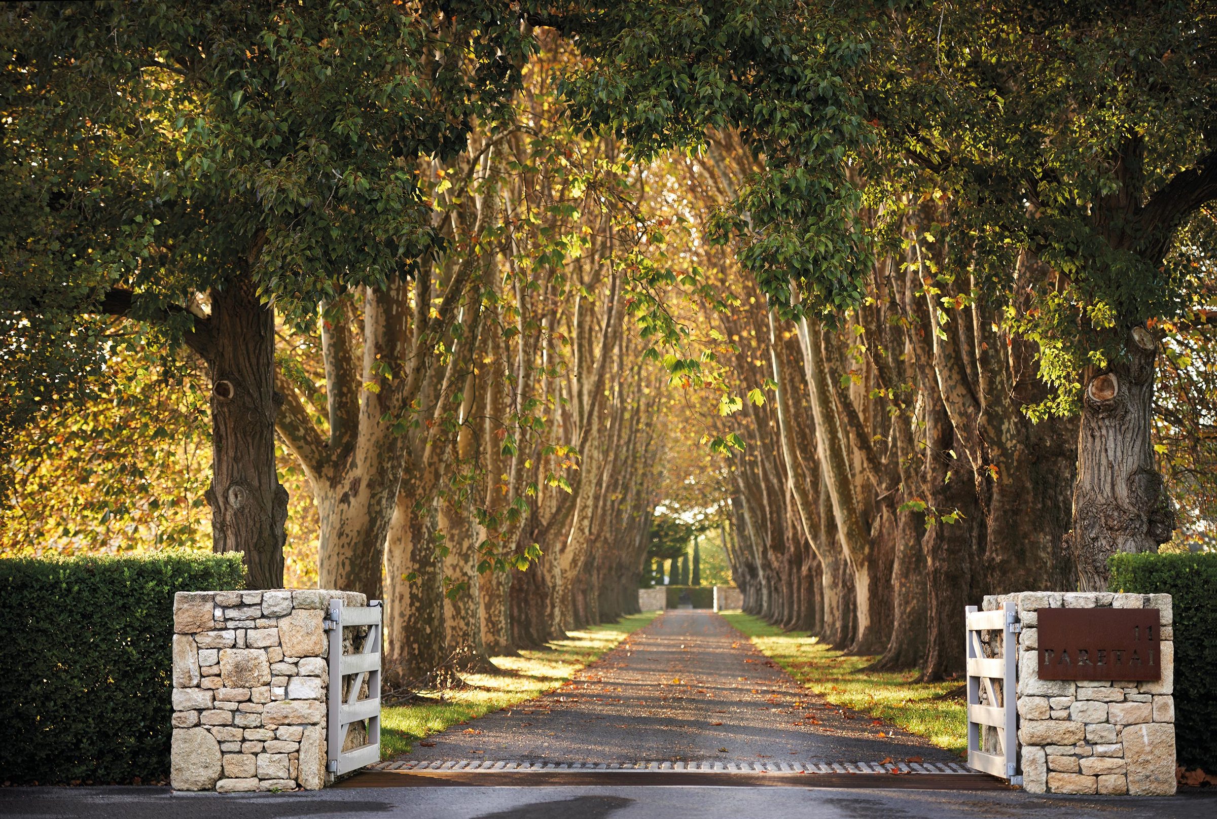 Paretai, Hawke's Bay. Landscape design by Suzanne Turley Landscapes