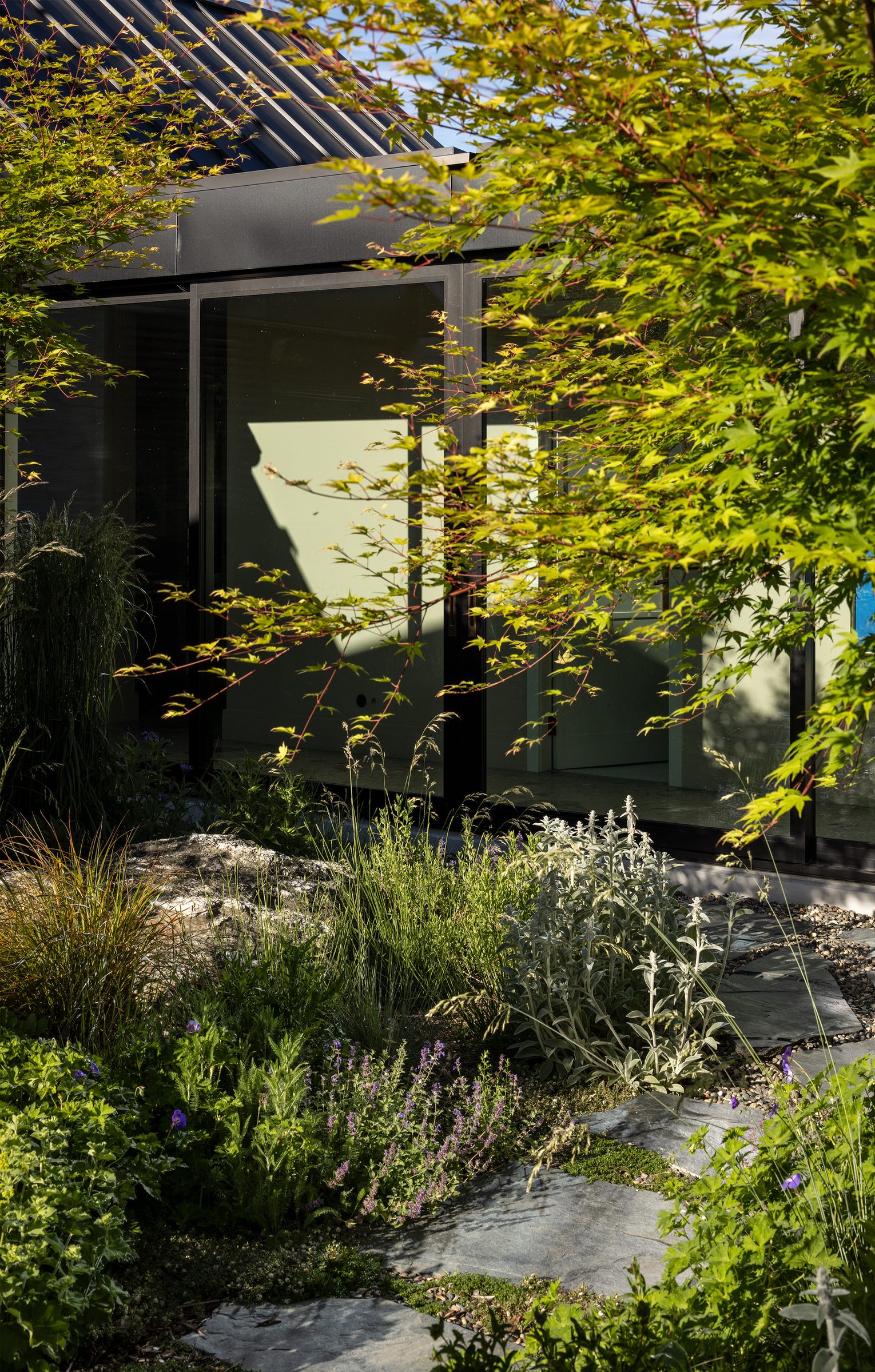 Garden designed by Suzanne Turley Landscapes