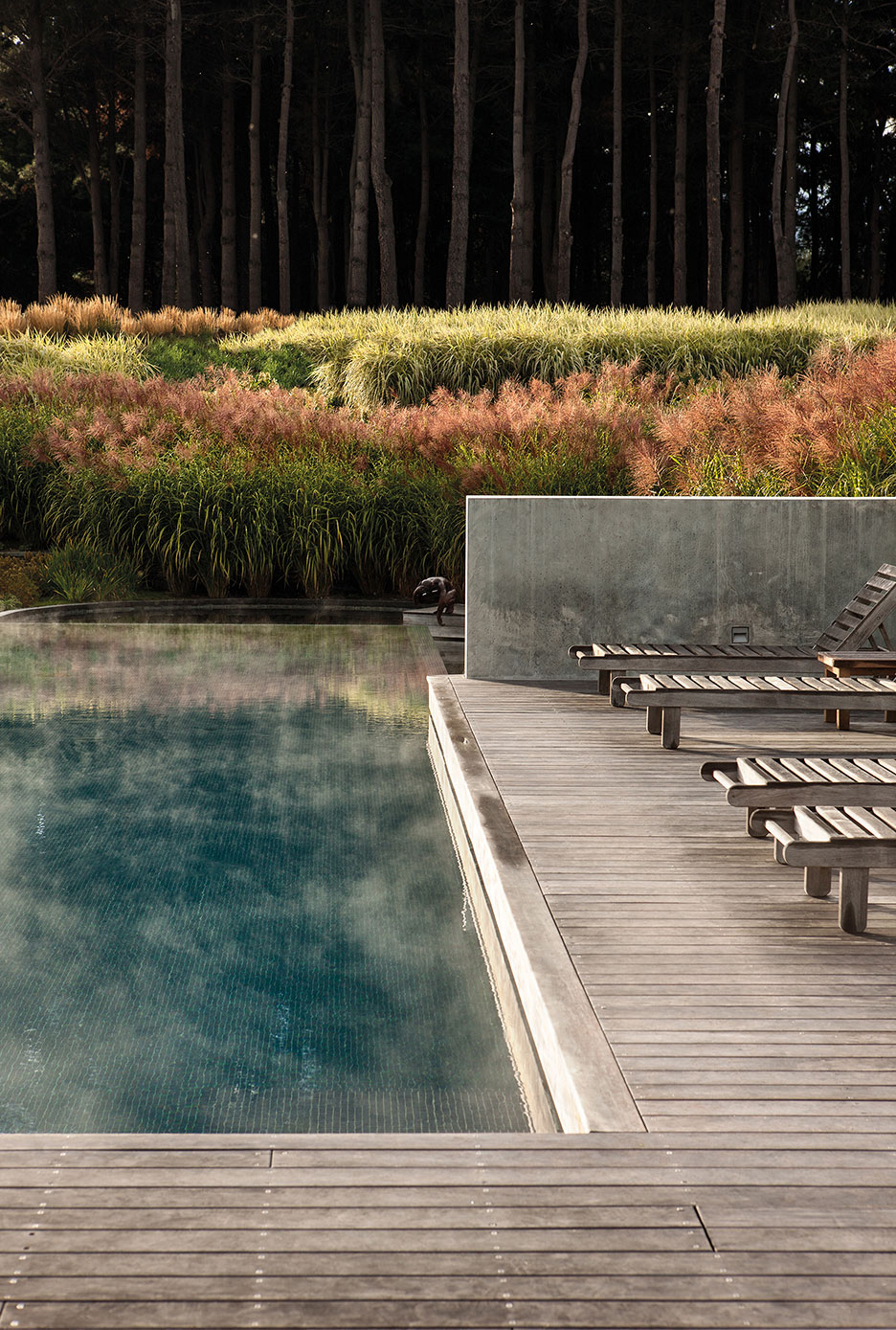 The Hills, Queenstown, New Zealand. Landscape design by Suzanne Turley Landscapes