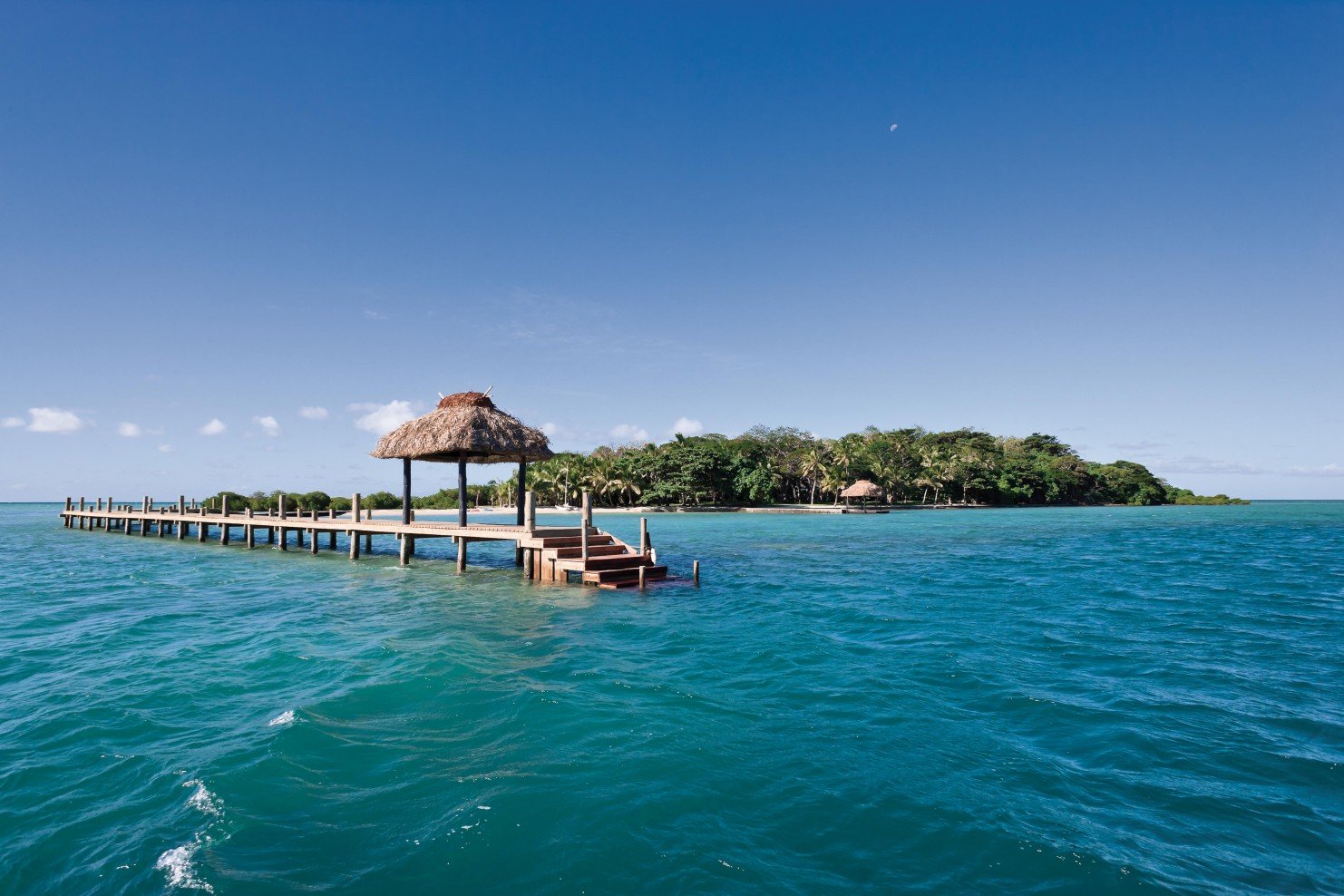 Dolphin Island, Dolphin Island. Landscape design by Suzanne Turley Landscapes