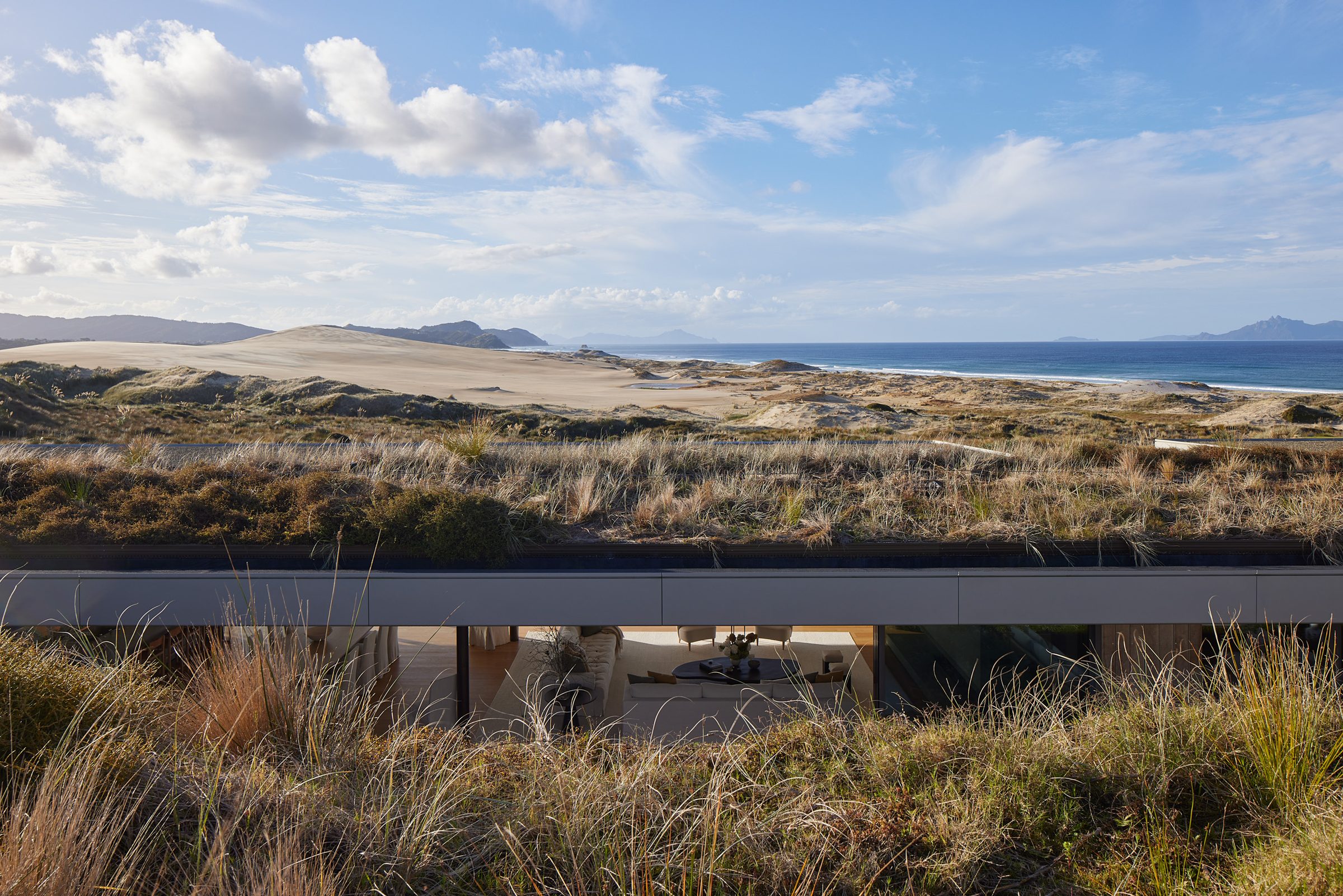Coastal Home, Tara Iti. Landscape design by Suzanne Turley Landscapes