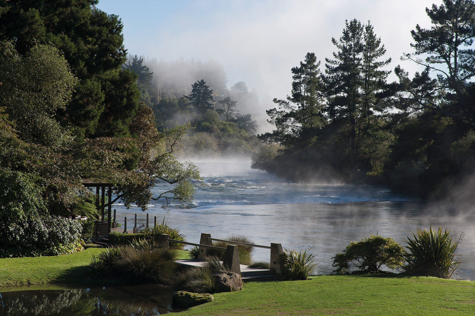 Garden by Suzanne Turley Landscapes