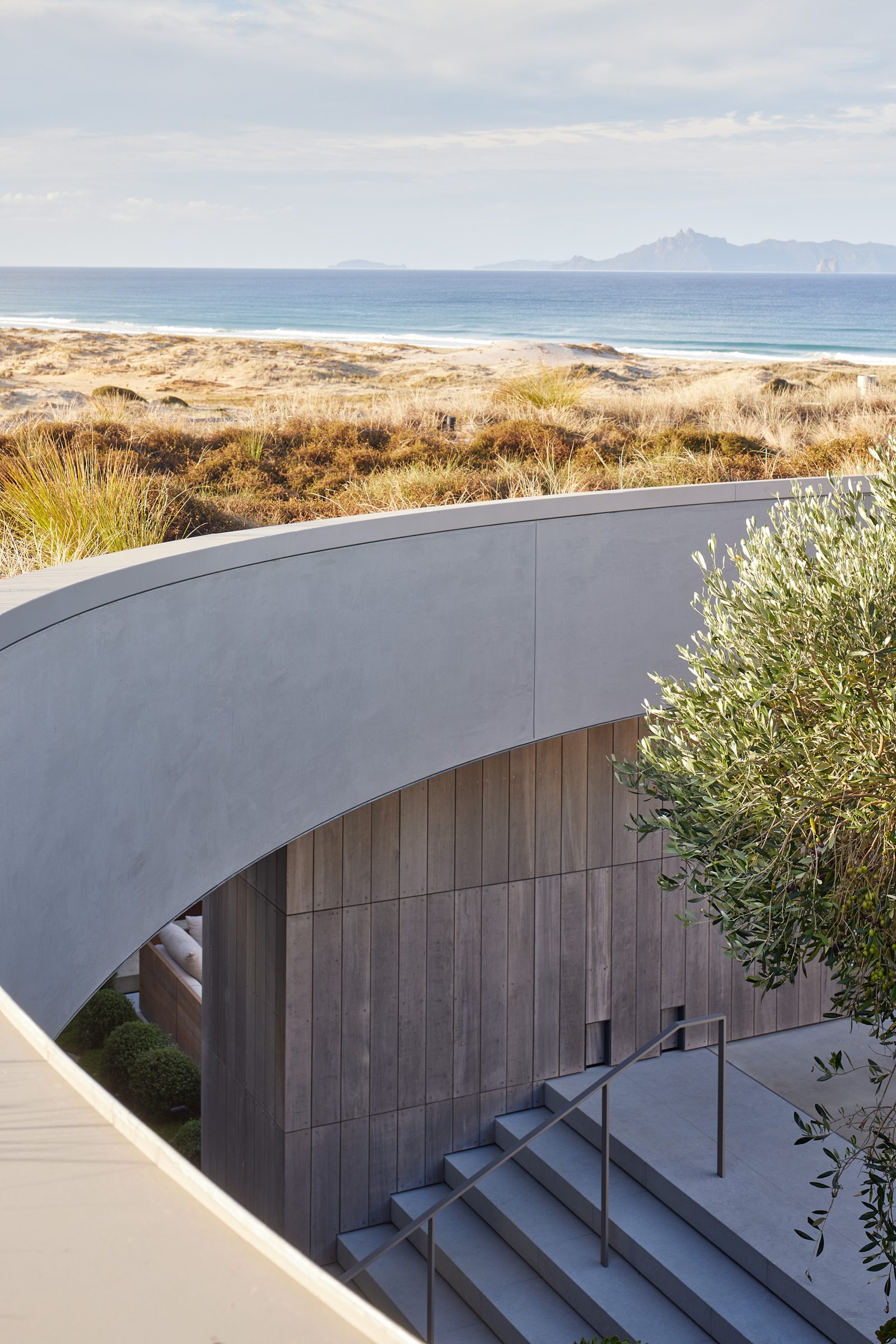 Garden designed by Suzanne Turley Landscapes