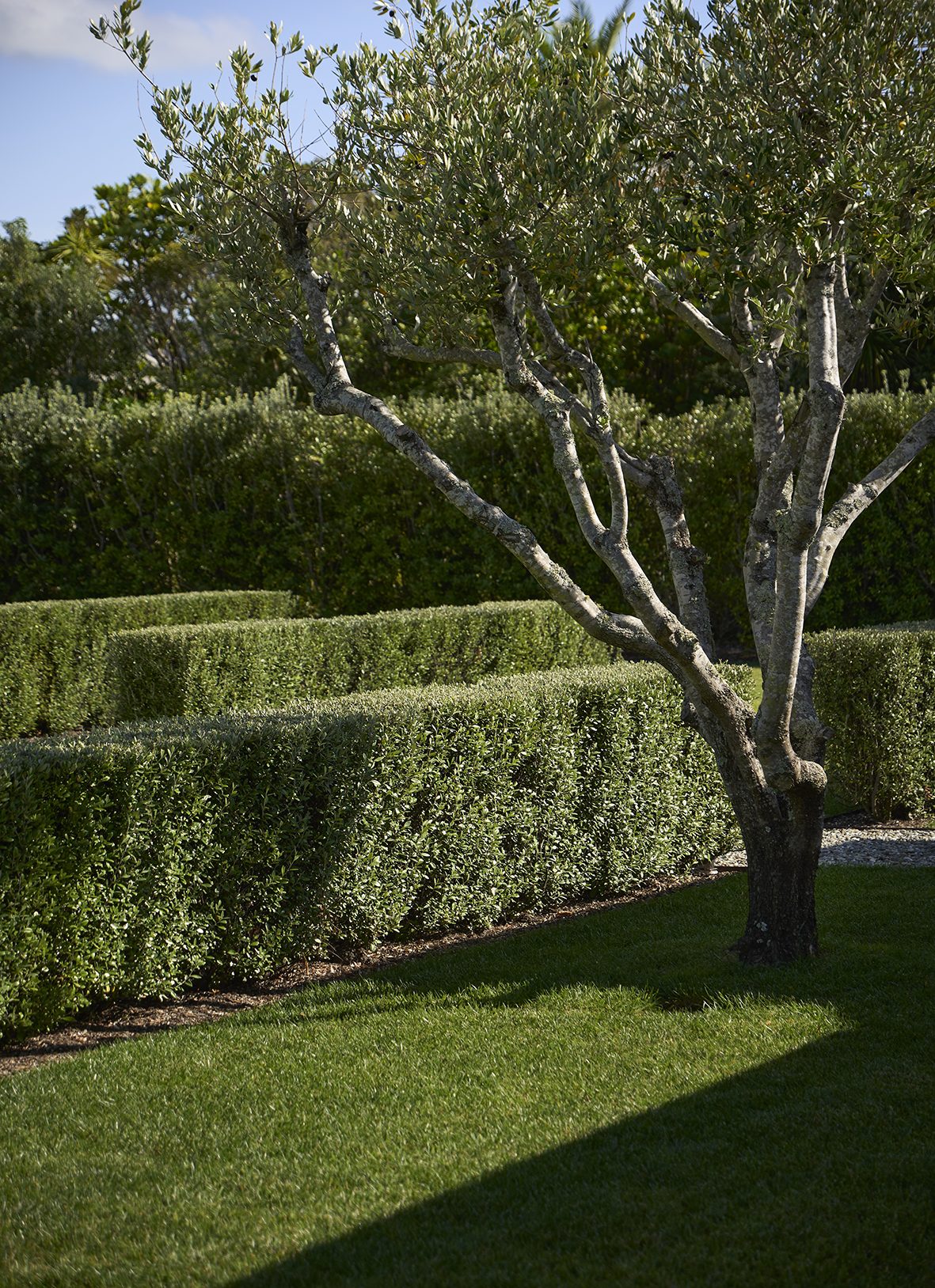 Beachside Retreat, Auckland. Landscape design by Suzanne Turley Landscapes