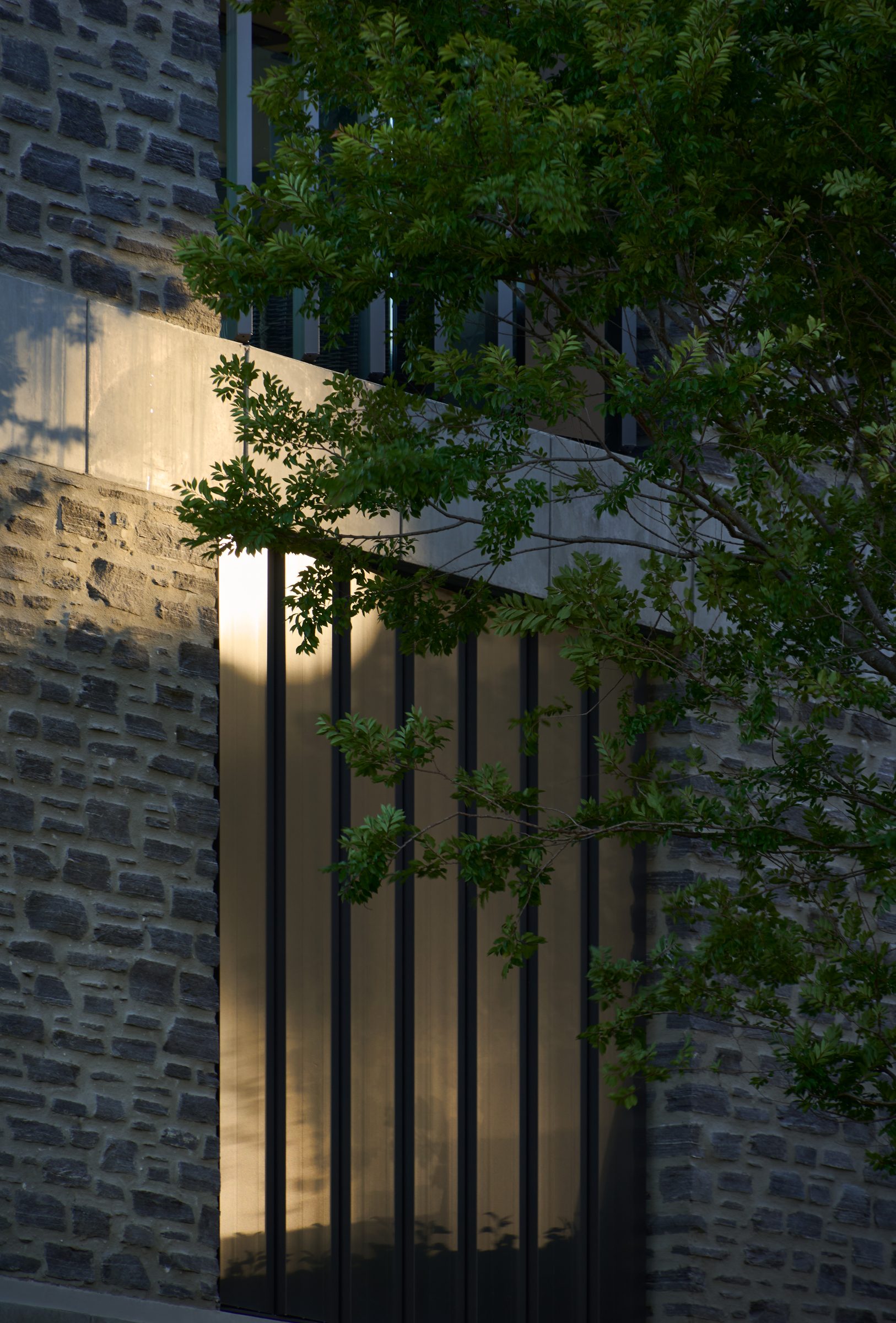 Roki, Queenstown. Landscape design by Suzanne Turley Landscapes