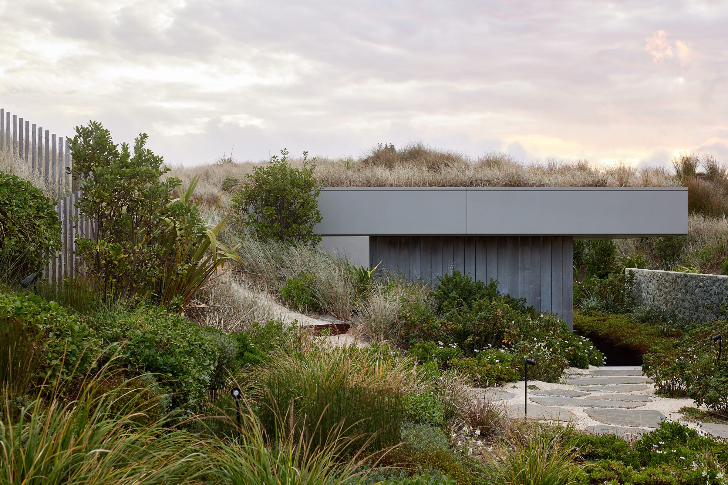 Coastal Home, Tara Iti. Landscape design by Suzanne Turley Landscapes