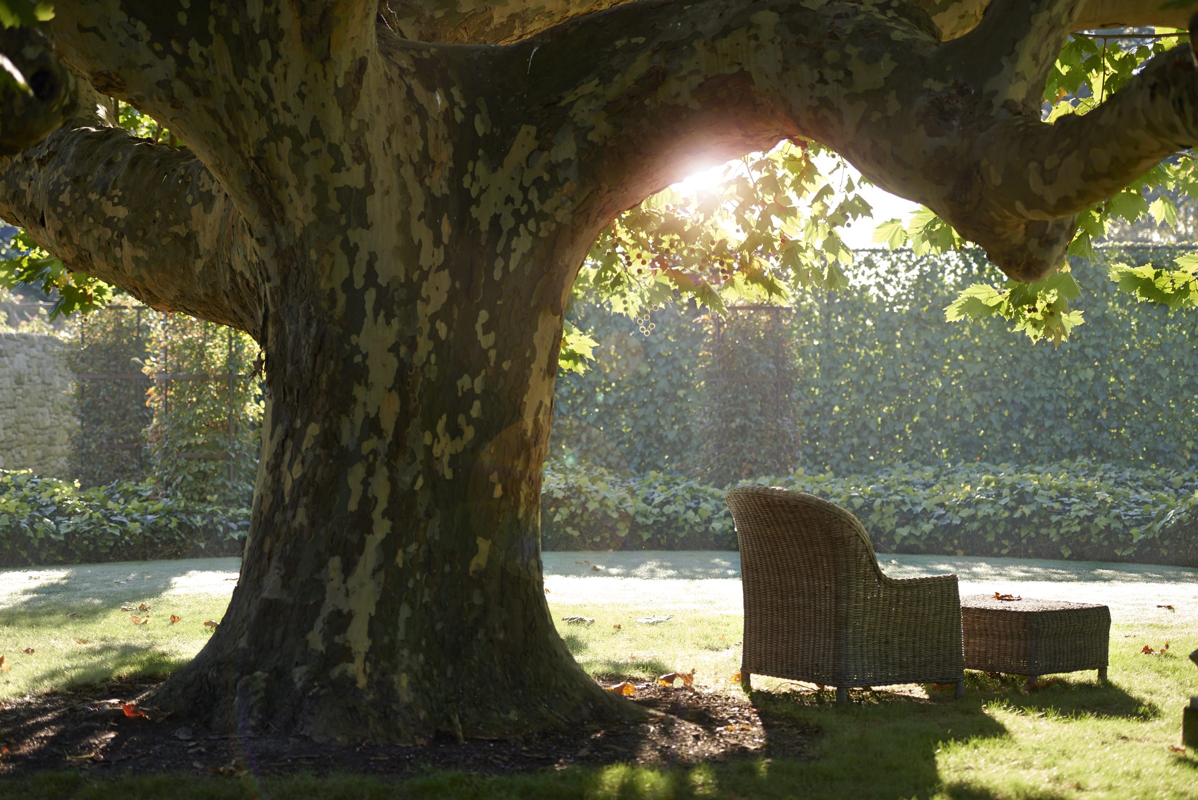 Paretai, Hawke's Bay. Landscape design by Suzanne Turley Landscapes