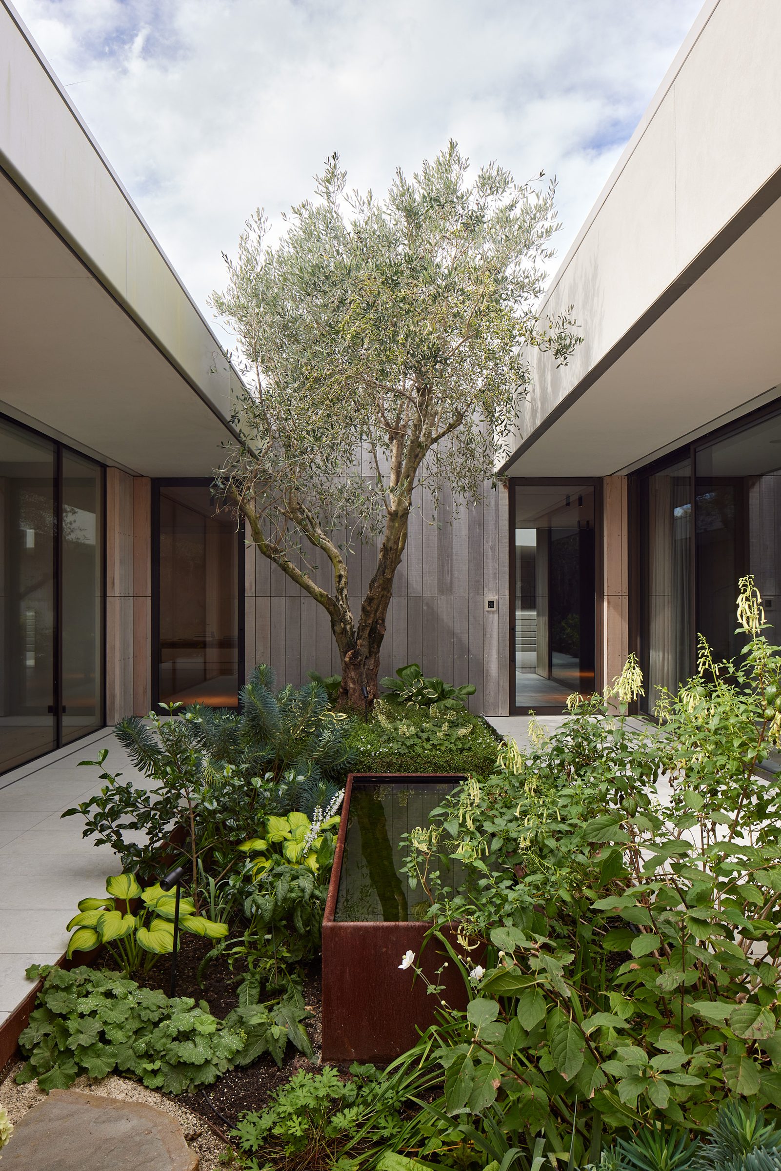 Coastal Home, Tara Iti. Landscape design by Suzanne Turley Landscapes
