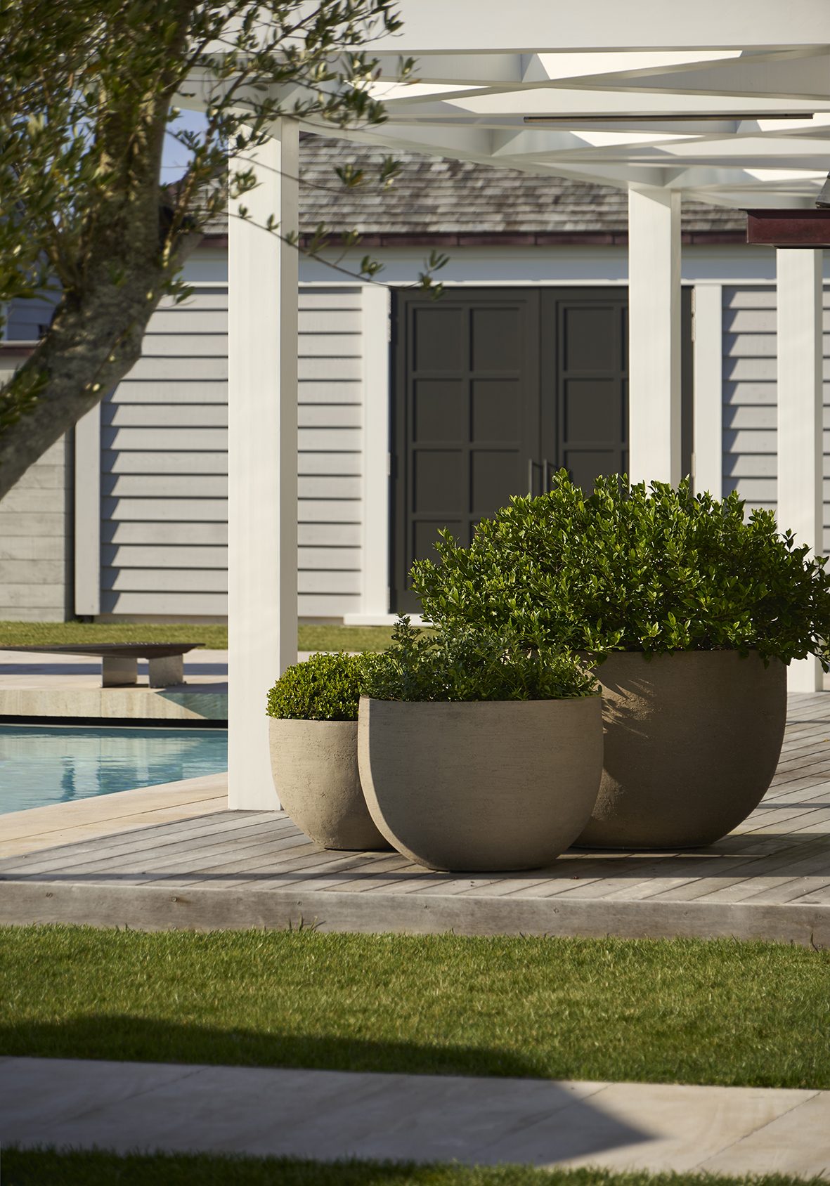Beachside Retreat, Auckland. Landscape design by Suzanne Turley Landscapes