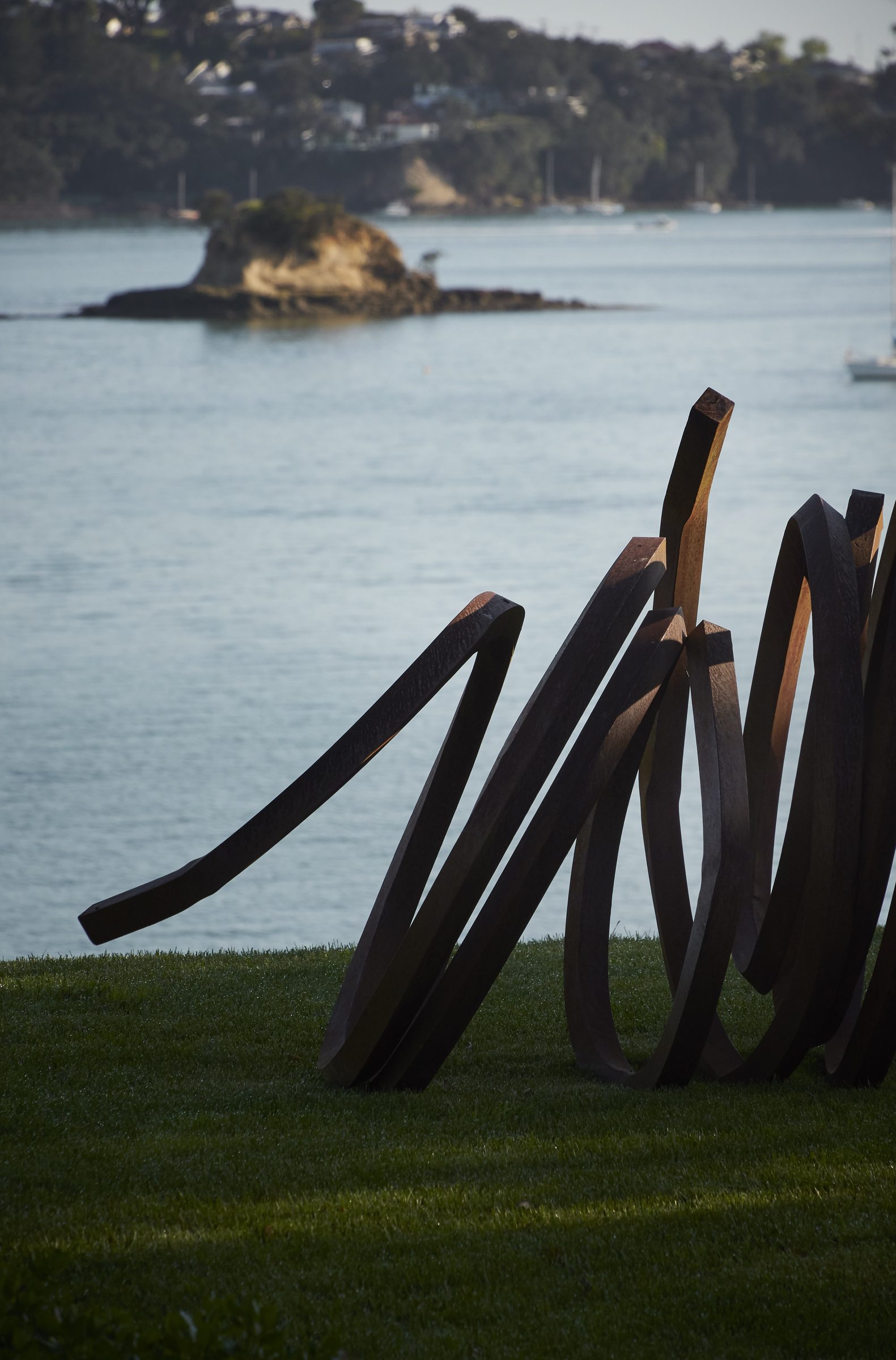Cremorne, Auckland. Landscape design by Suzanne Turley Landscapes