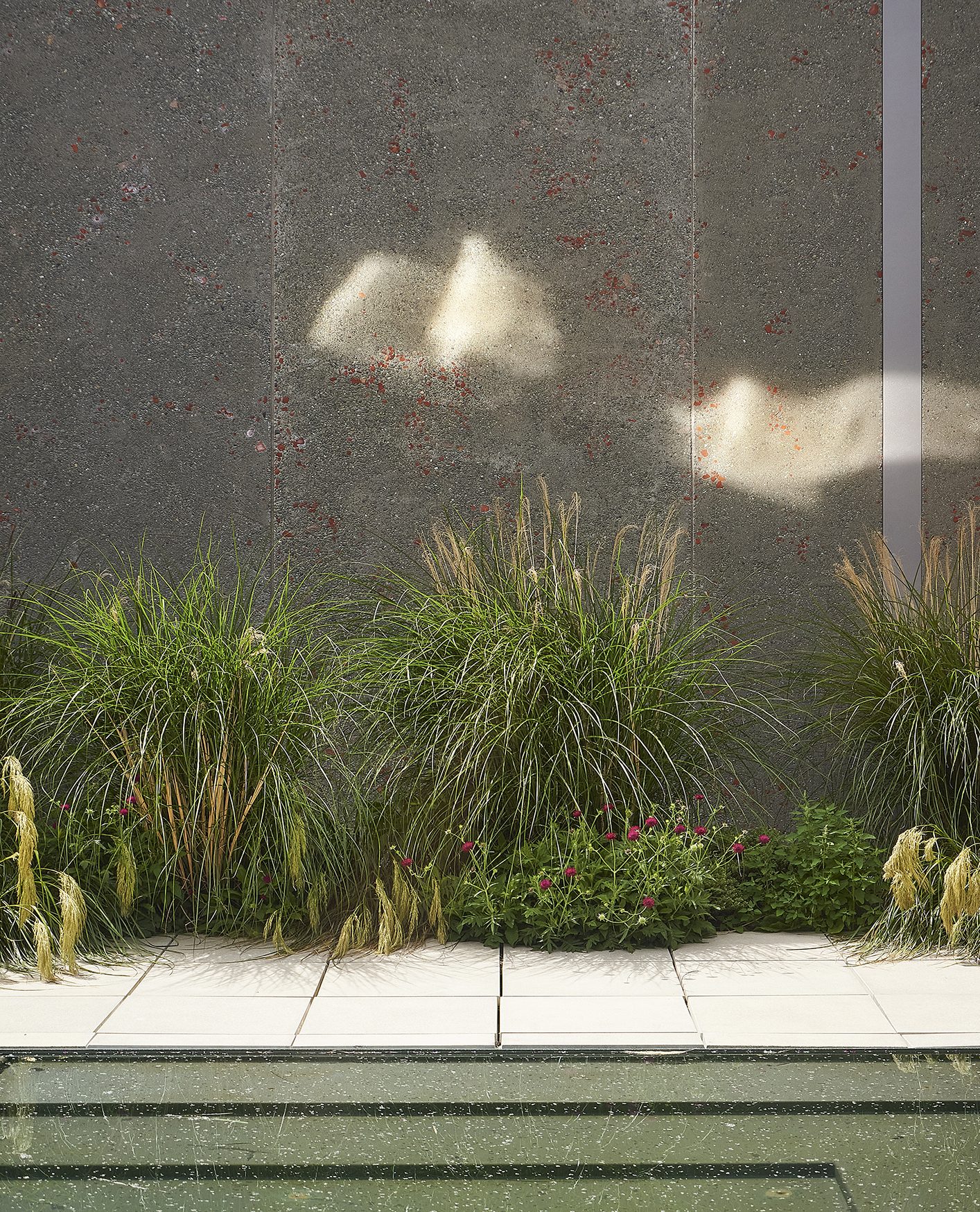 Ravenscar, Christchurch. Landscape design by Suzanne Turley Landscapes