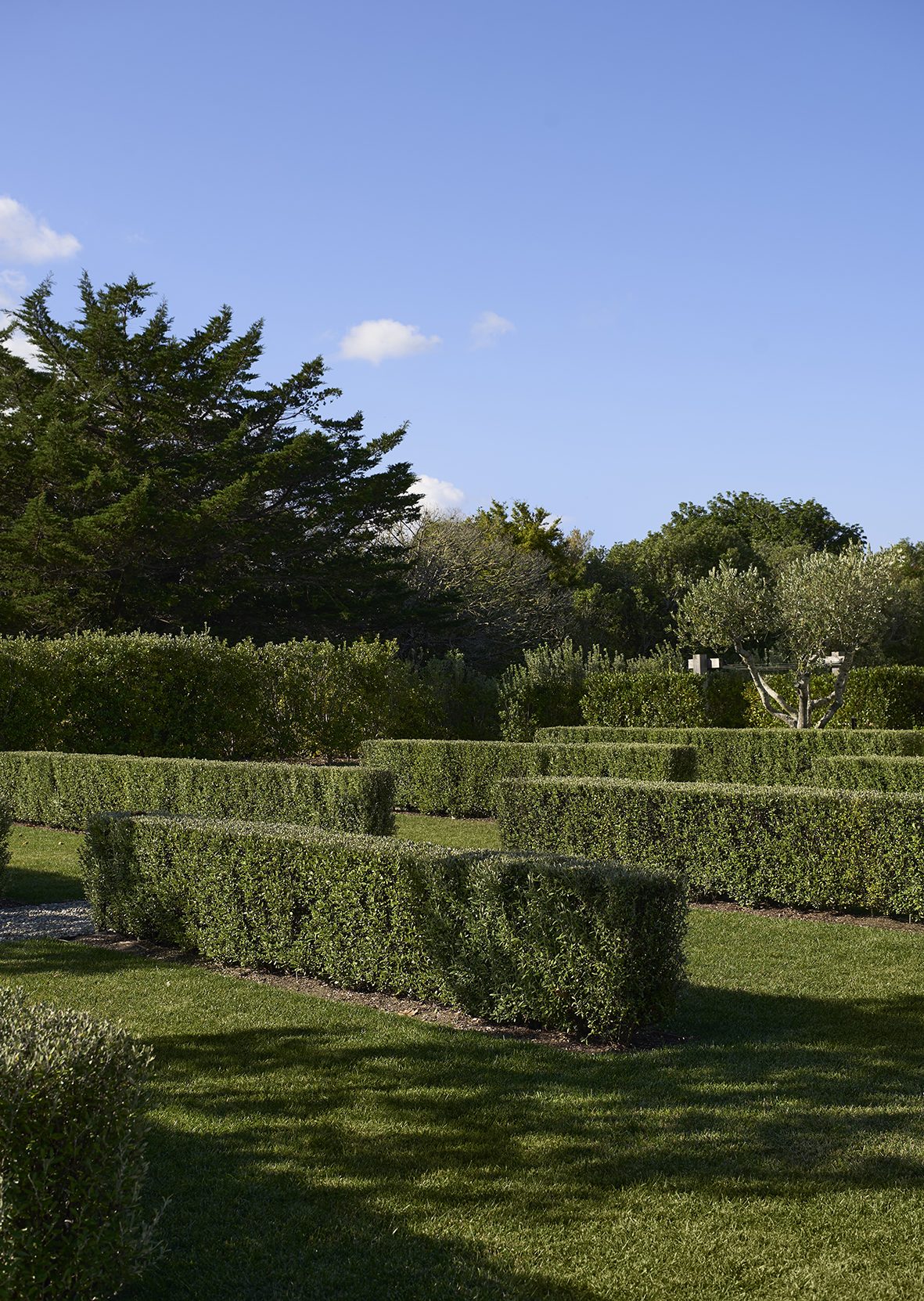 Beachside Retreat, Auckland. Landscape design by Suzanne Turley Landscapes