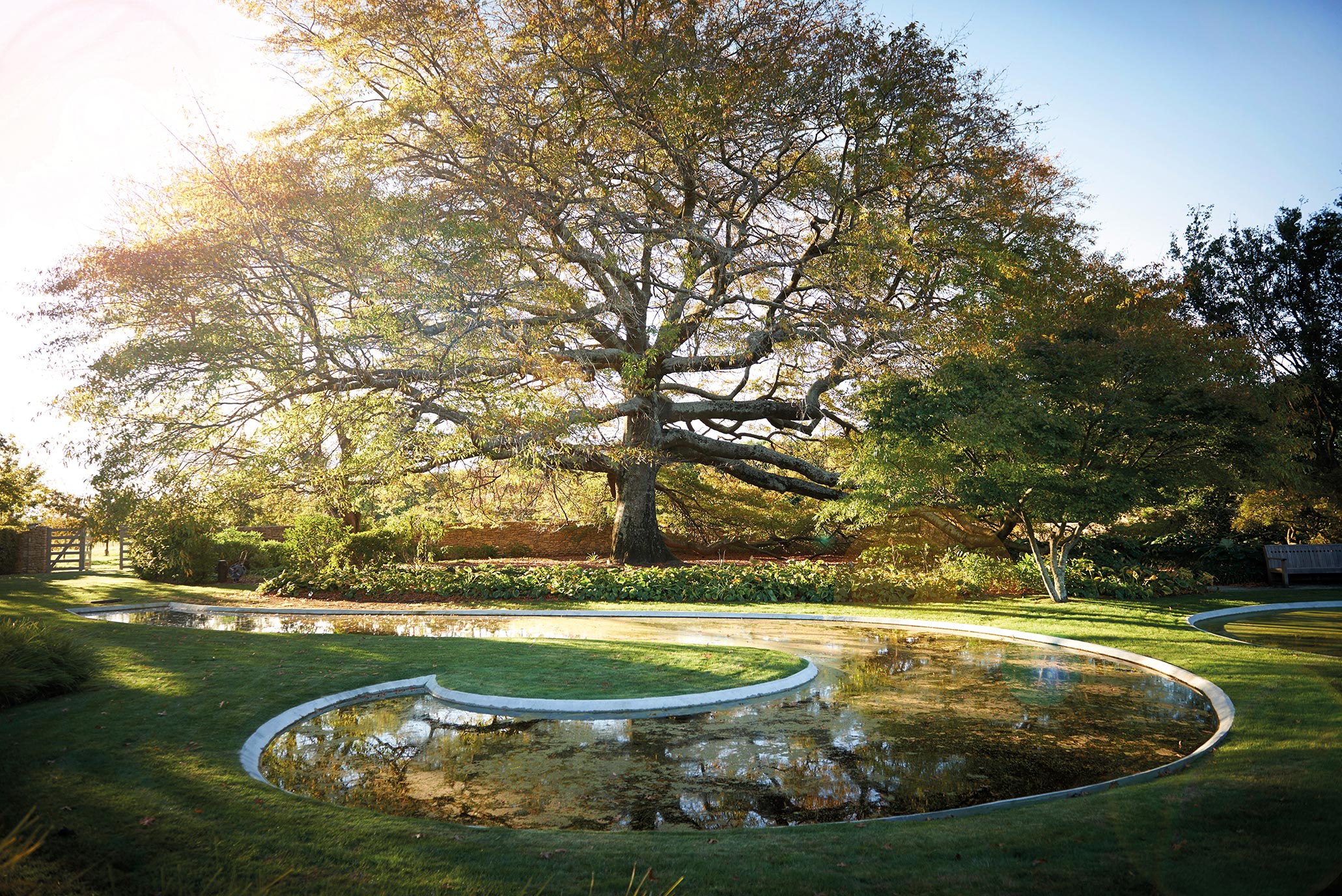 Paretai Estate, Hawke's Bay, New Zealand. Landscape design by Suzanne Turley Landscapes