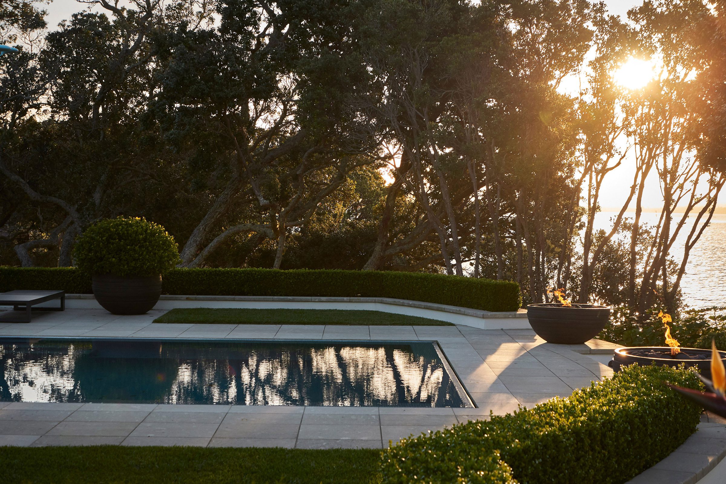 Cremorne, Auckland. Landscape design by Suzanne Turley Landscapes