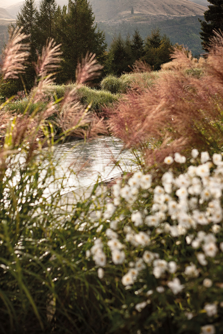 The Hills, Arrowtown. Landscape design by Suzanne Turley Landscapes