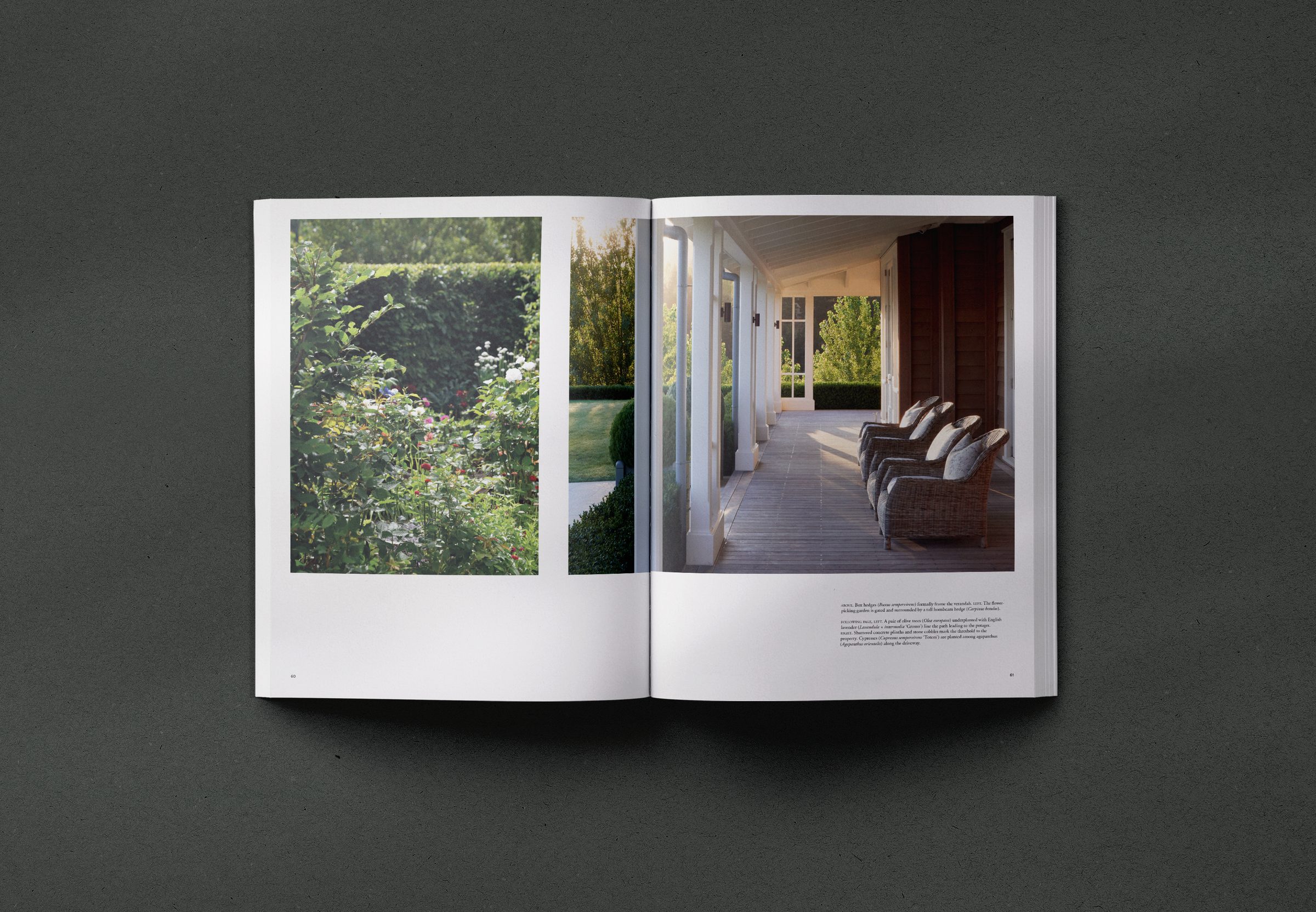 Suzanne Turley Landscapes studio