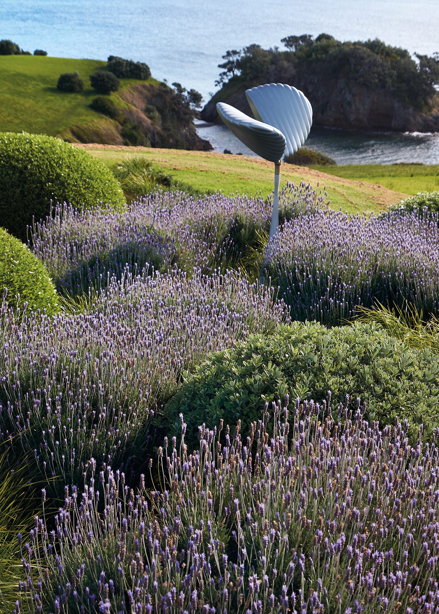 Island Retreat, Waiheke Island. Landscape design by Suzanne Turley Landscapes