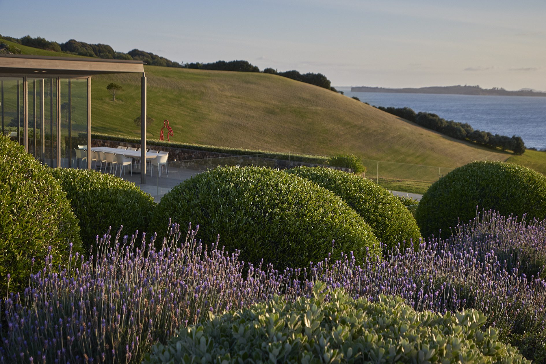 Island Retreat, Waiheke Island, New Zealand. Landscape design by Suzanne Turley Landscapes