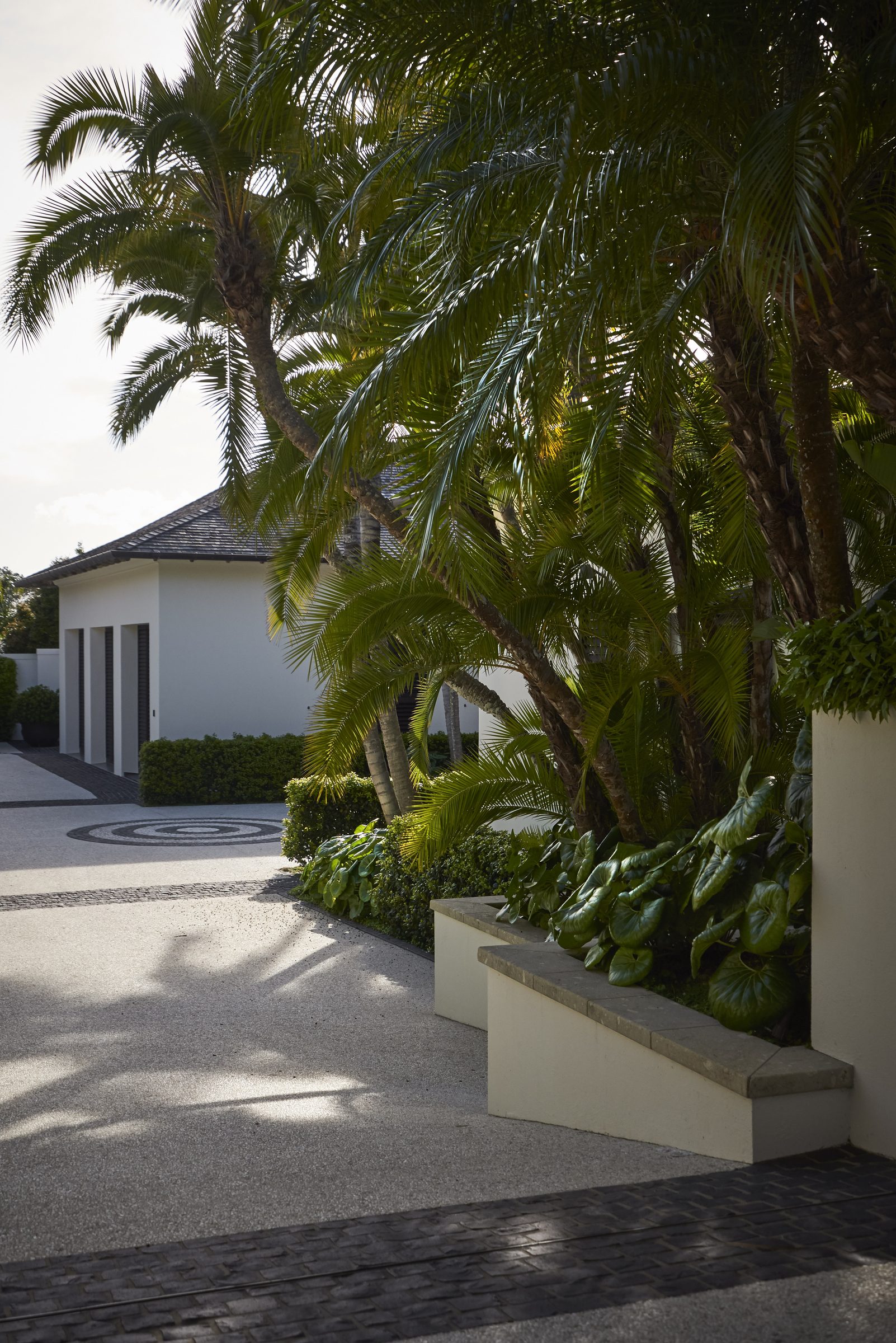 Cremorne, Auckland. Landscape design by Suzanne Turley Landscapes