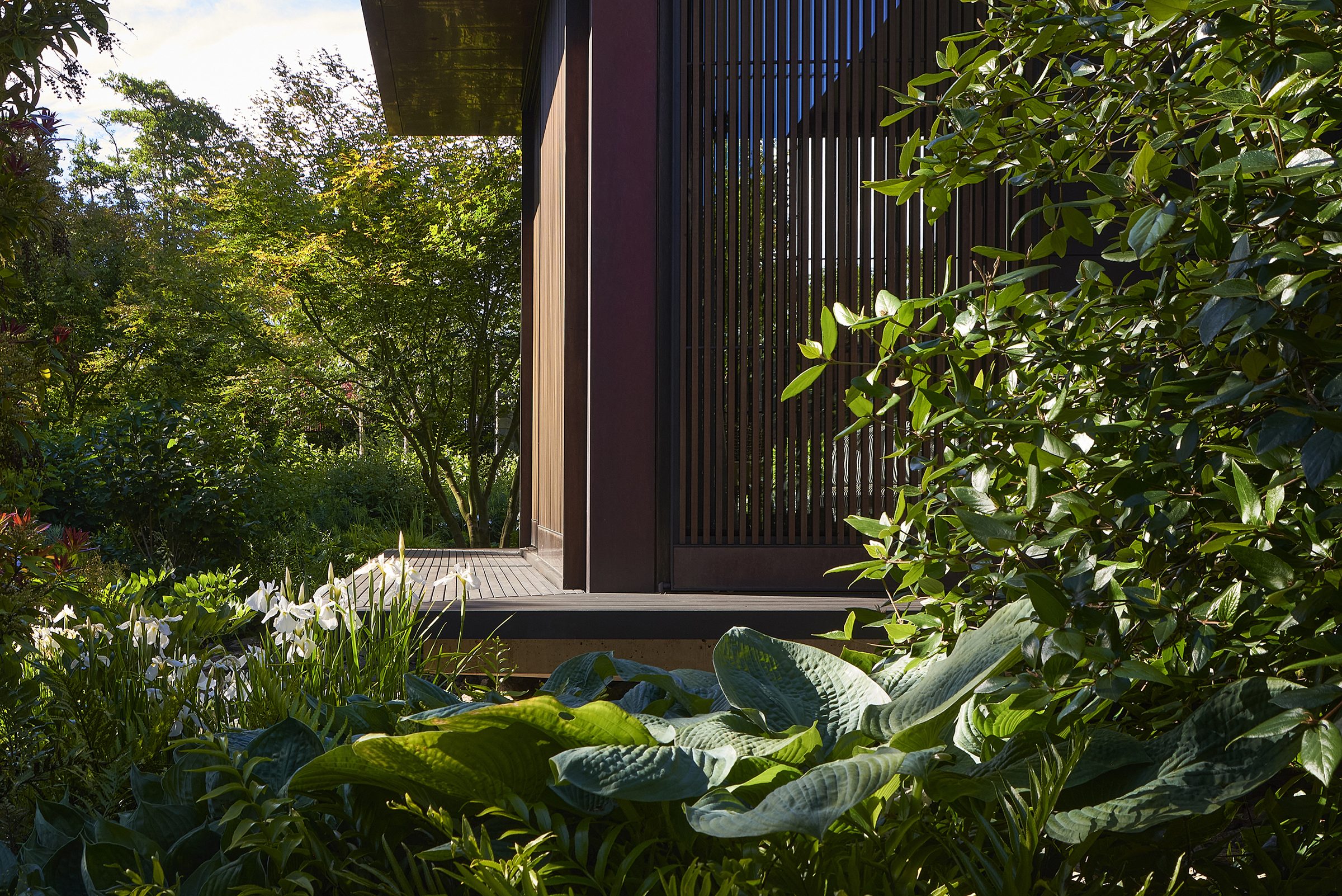 Riverside House, Christchurch. Landscape design by Suzanne Turley Landscapes