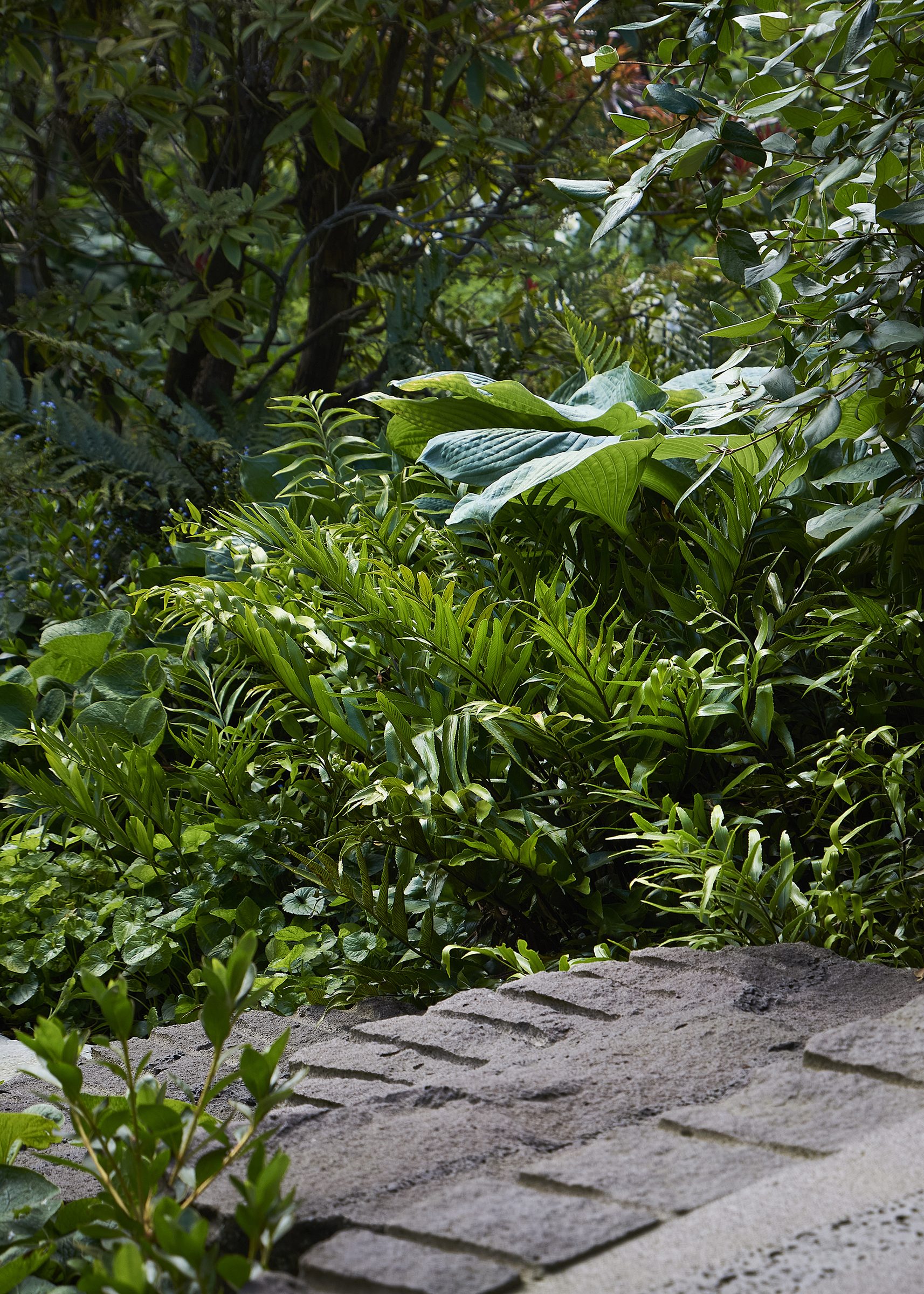 Riverside House, Christchurch. Landscape design by Suzanne Turley Landscapes
