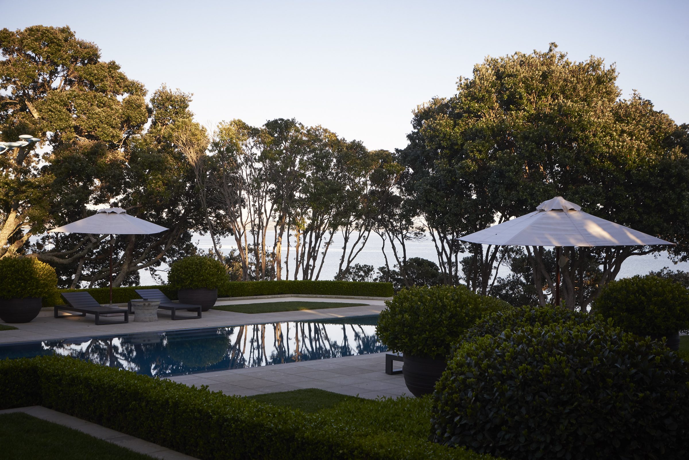 Cremorne, Auckland. Landscape design by Suzanne Turley Landscapes