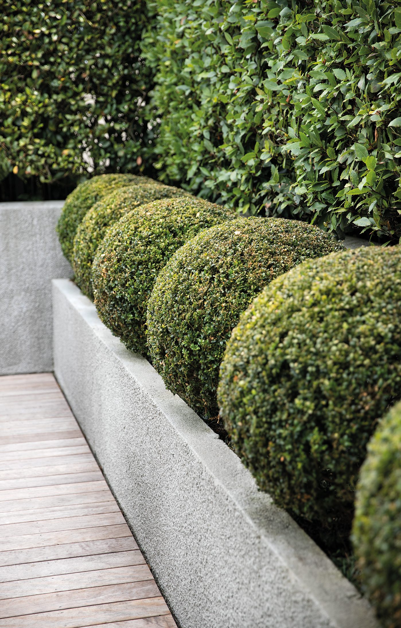 Pool Pavilion, Auckland. Landscape design by Suzanne Turley Landscapes
