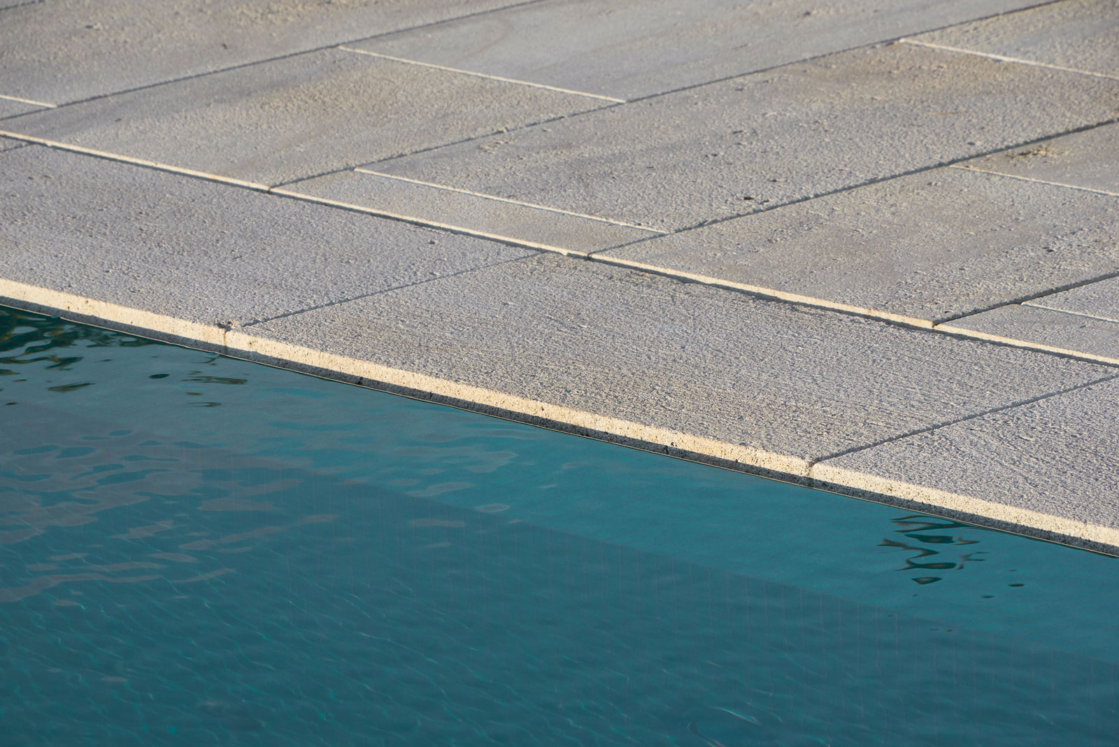 Hanene, Auckland. Landscape design by Suzanne Turley Landscapes