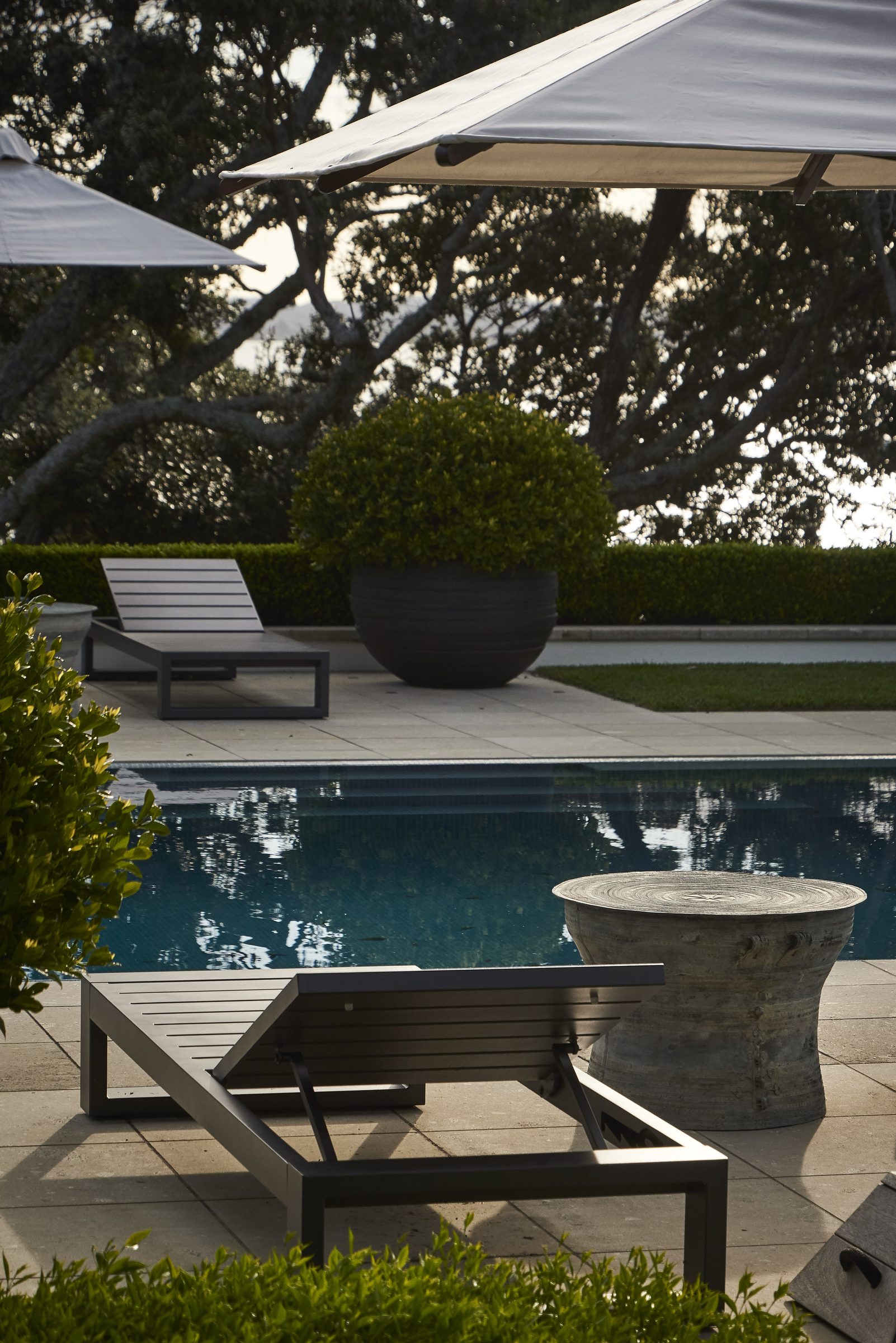 Cremorne, Auckland. Landscape design by Suzanne Turley Landscapes