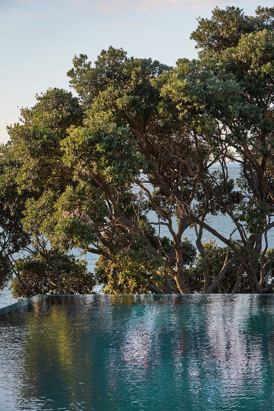 Hanene Clifftop, Auckland, New Zealand. Landscape design by Suzanne Turley Landscapes