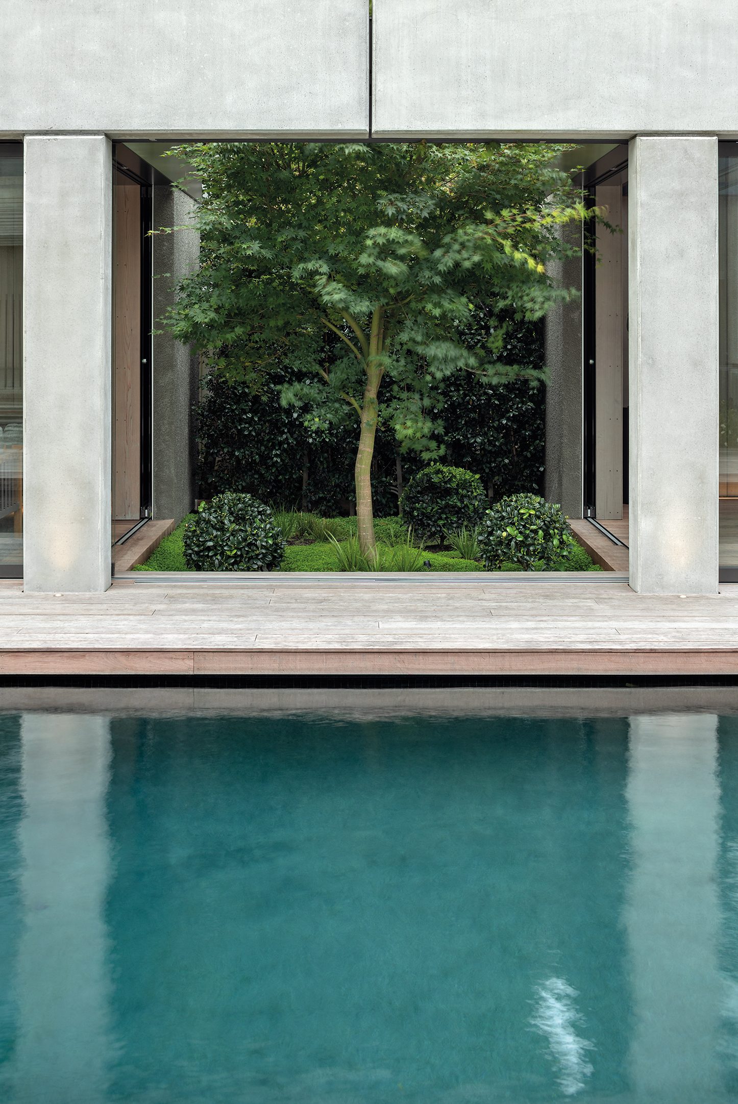 Pool Pavilion, Auckland. Landscape design by Suzanne Turley Landscapes