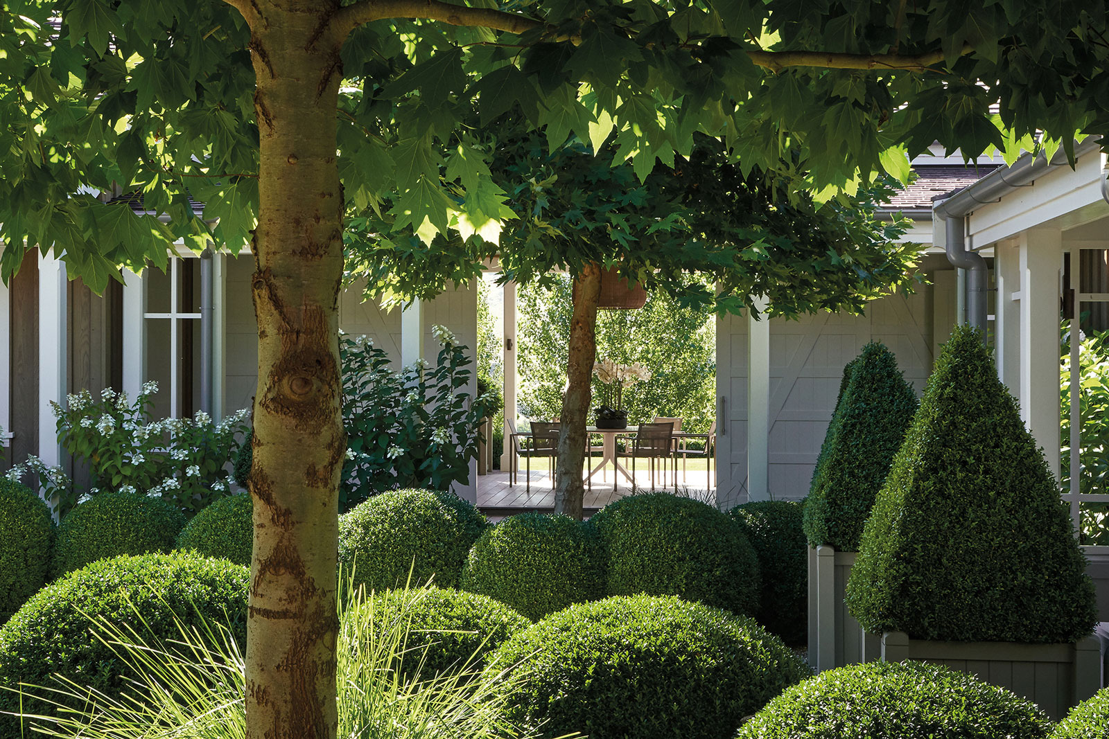 Tahuna, Hawke's Bay. Landscape design by Suzanne Turley Landscapes