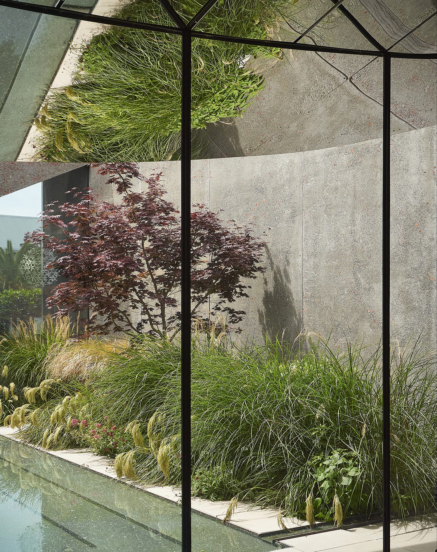 Ravenscar, Christchurch. Landscape design by Suzanne Turley Landscapes