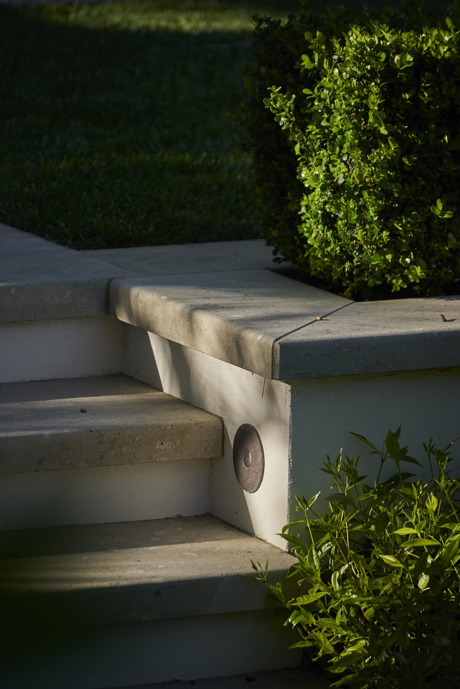 Cremorne, Auckland. Landscape design by Suzanne Turley Landscapes