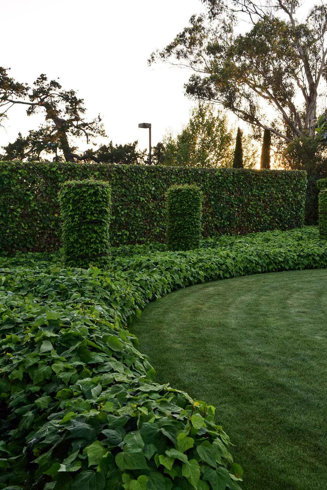 Paretai, Hawke's Bay. Landscape design by Suzanne Turley Landscapes