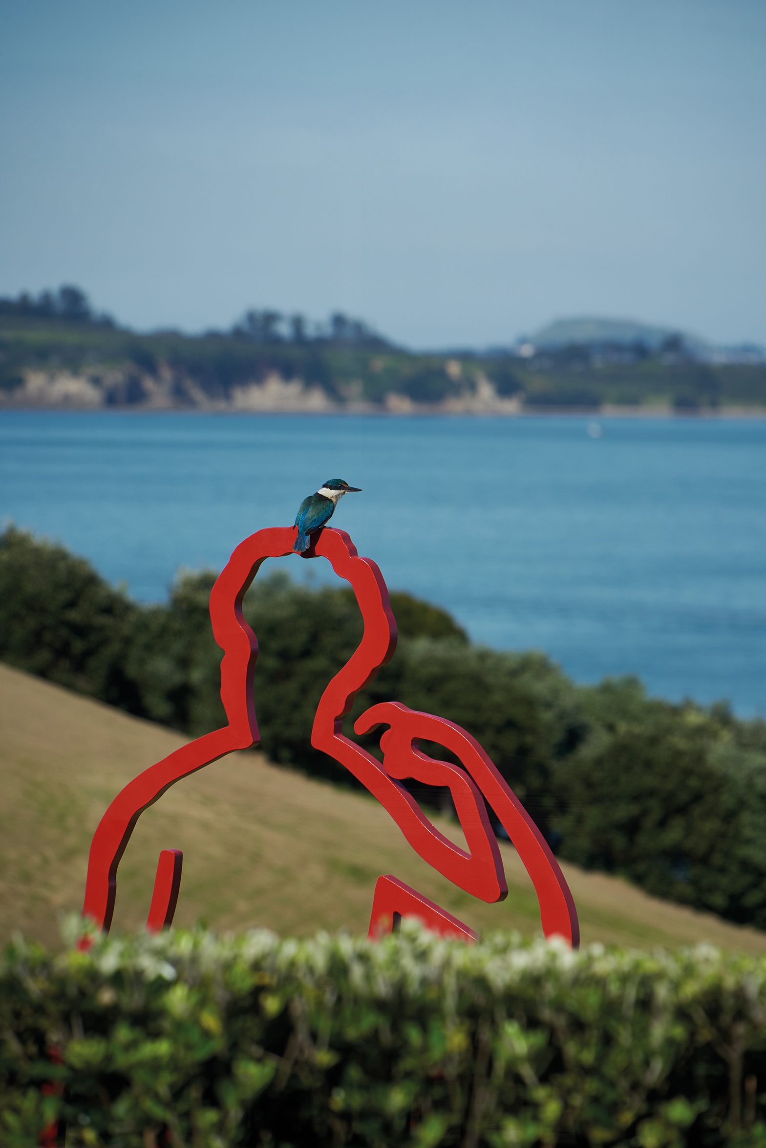 Island Retreat, Waiheke Island. Landscape design by Suzanne Turley Landscapes