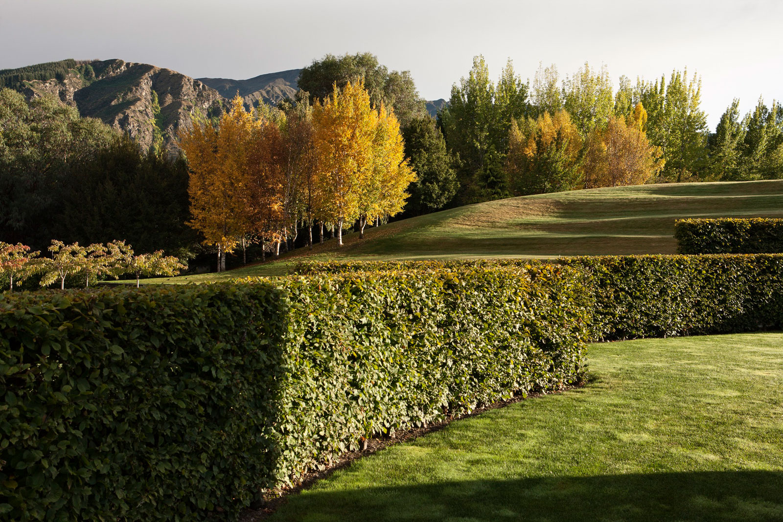 The Hills, Arrowtown. Landscape design by Suzanne Turley Landscapes