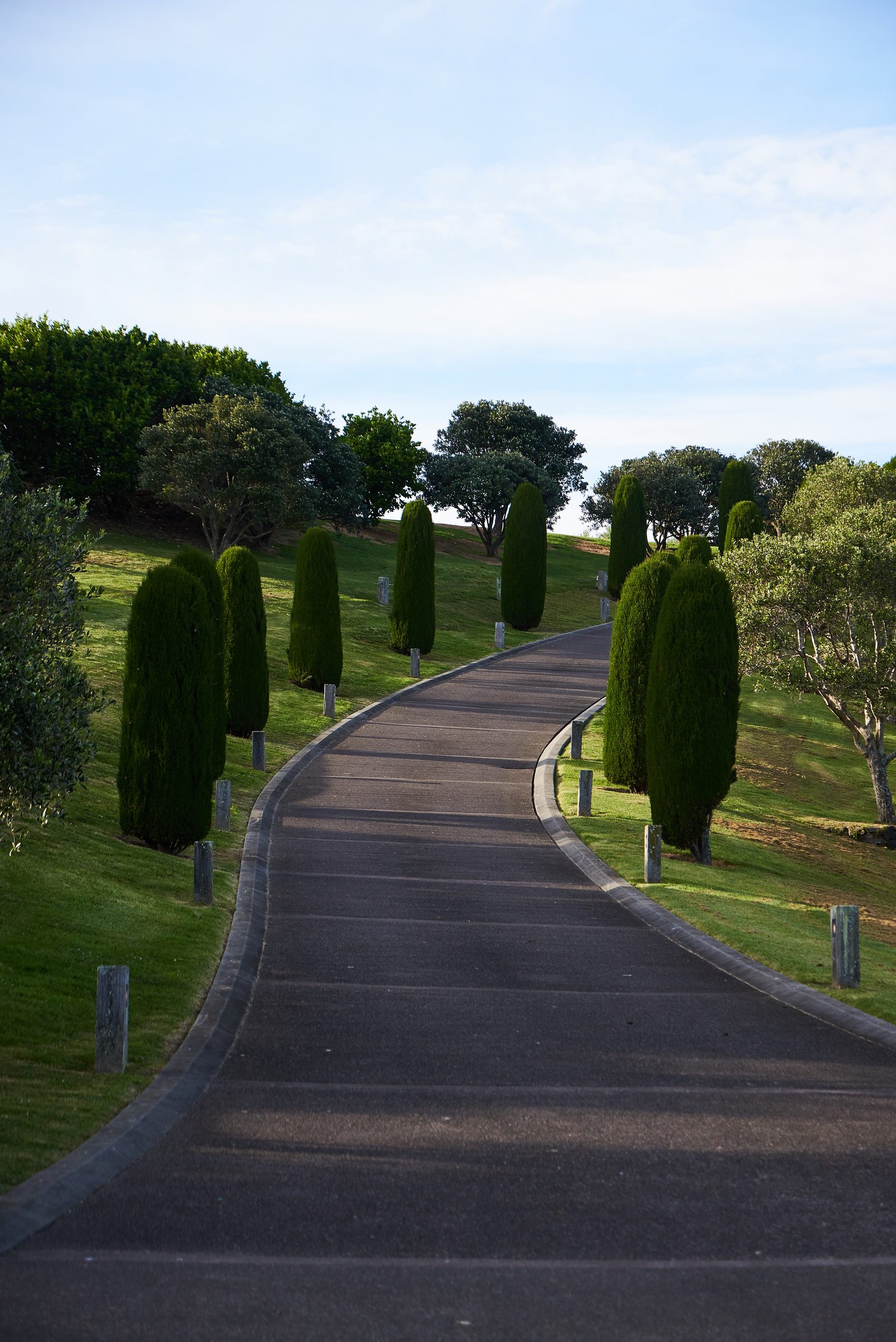 Island Retreat, Waiheke Island. Landscape design by Suzanne Turley Landscapes